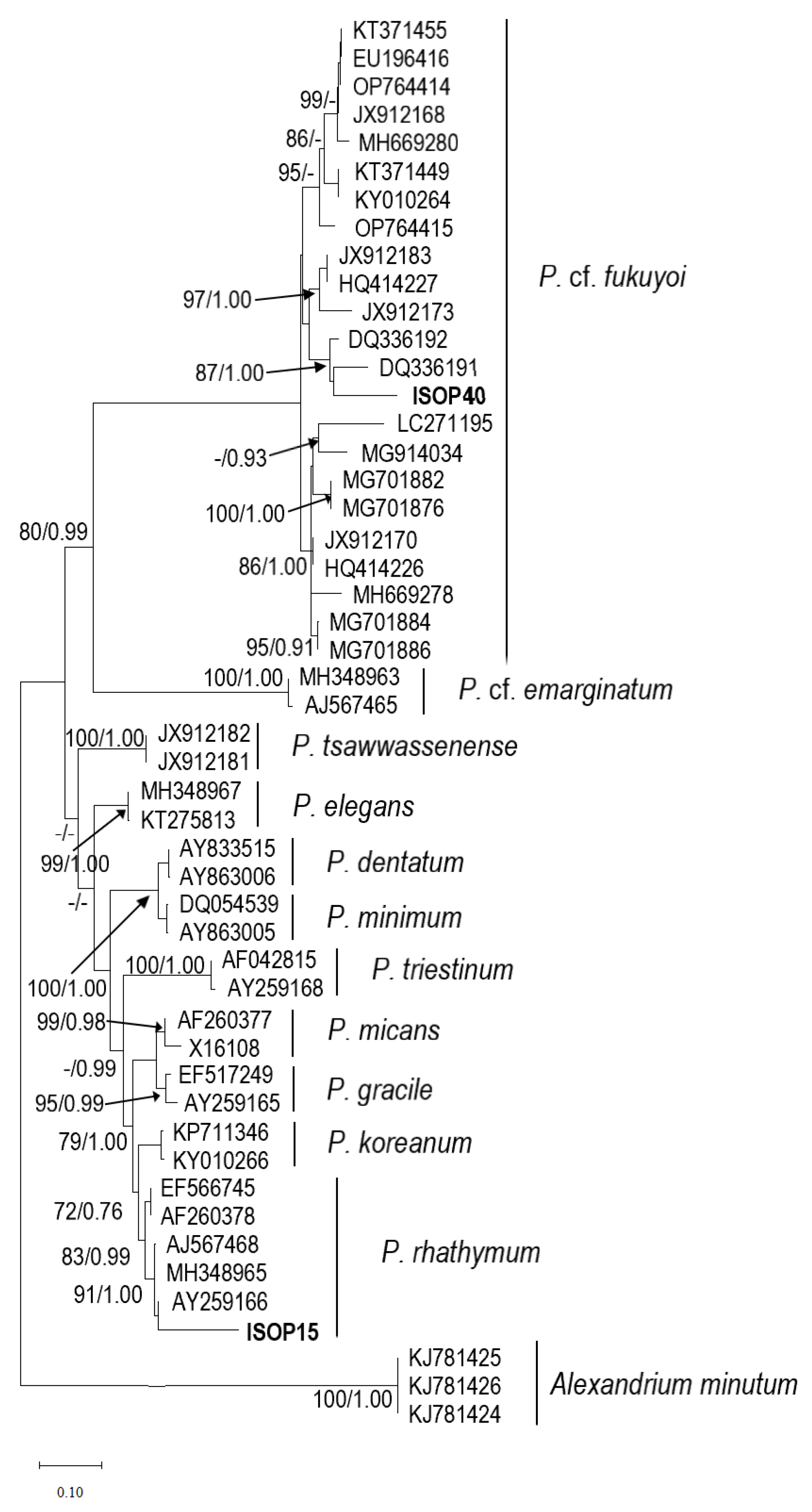 Marinedrugs 21 00216 g005 Marinedrugs 21 00216 g005