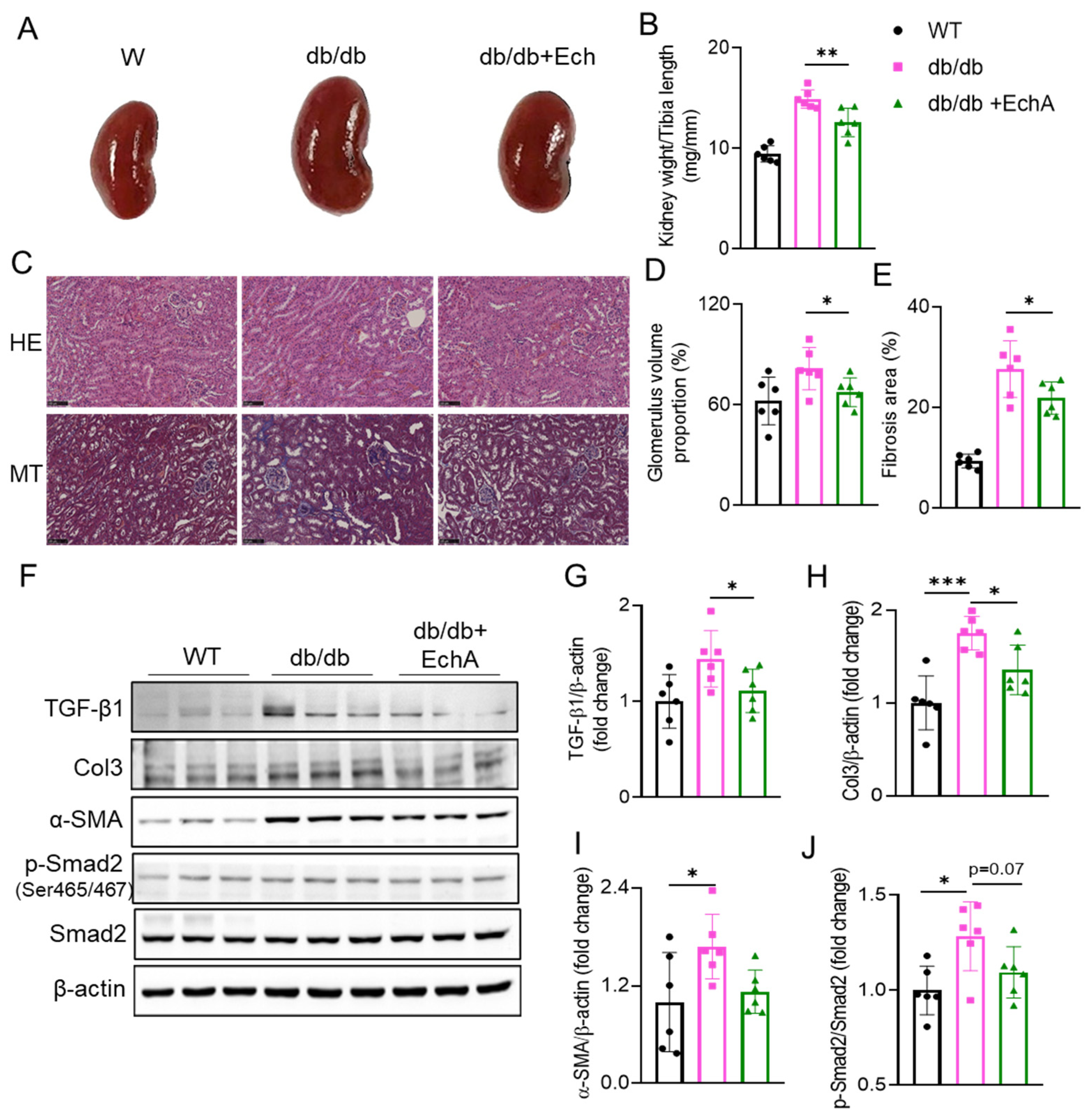 Marinedrugs 21 00222 g002 Marinedrugs 21 00222 g002