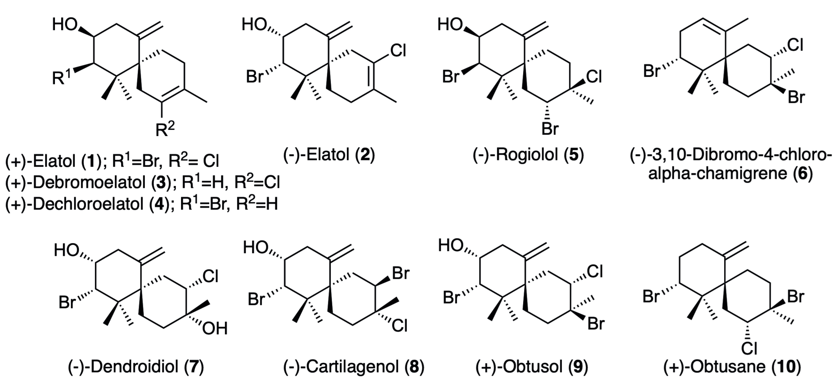 Marinedrugs 21 00224 g001 Marinedrugs 21 00224 g001