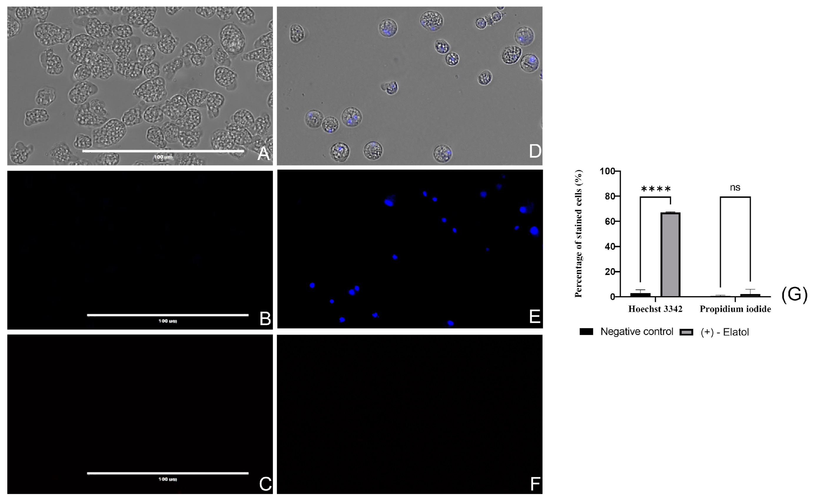 Marinedrugs 21 00224 g002 Marinedrugs 21 00224 g002