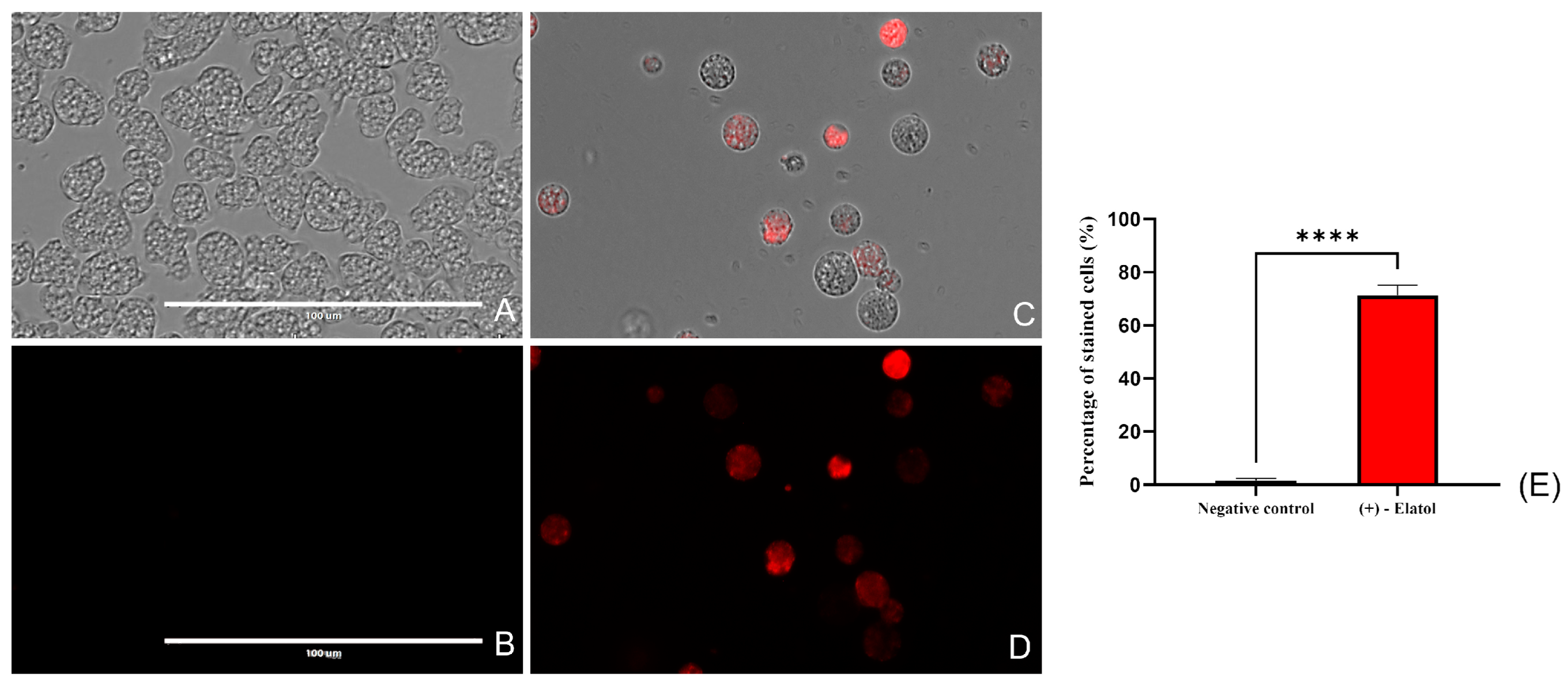 Marinedrugs 21 00224 g004 Marinedrugs 21 00224 g004