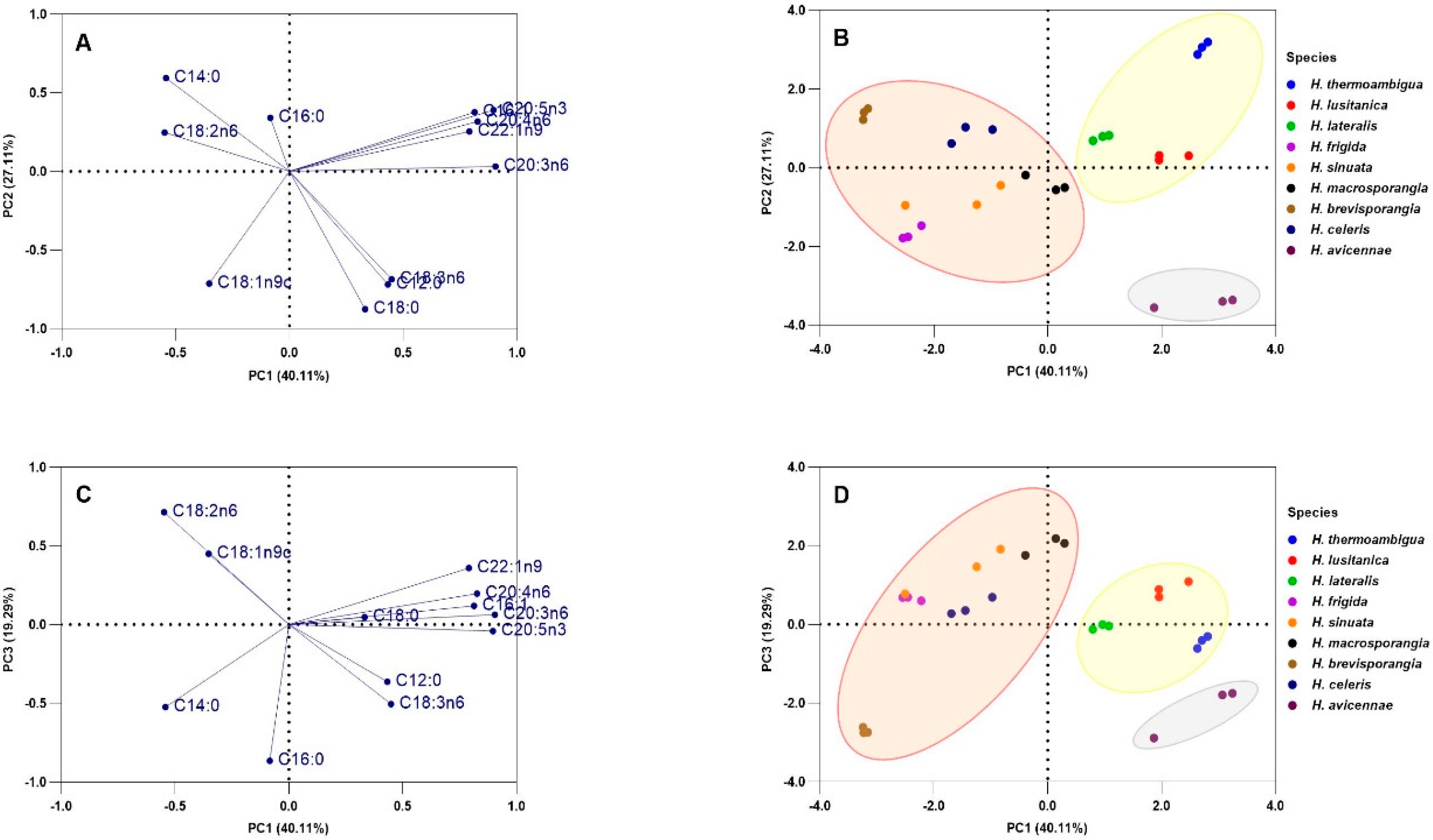 Marinedrugs 21 00227 g003 Marinedrugs 21 00227 g003