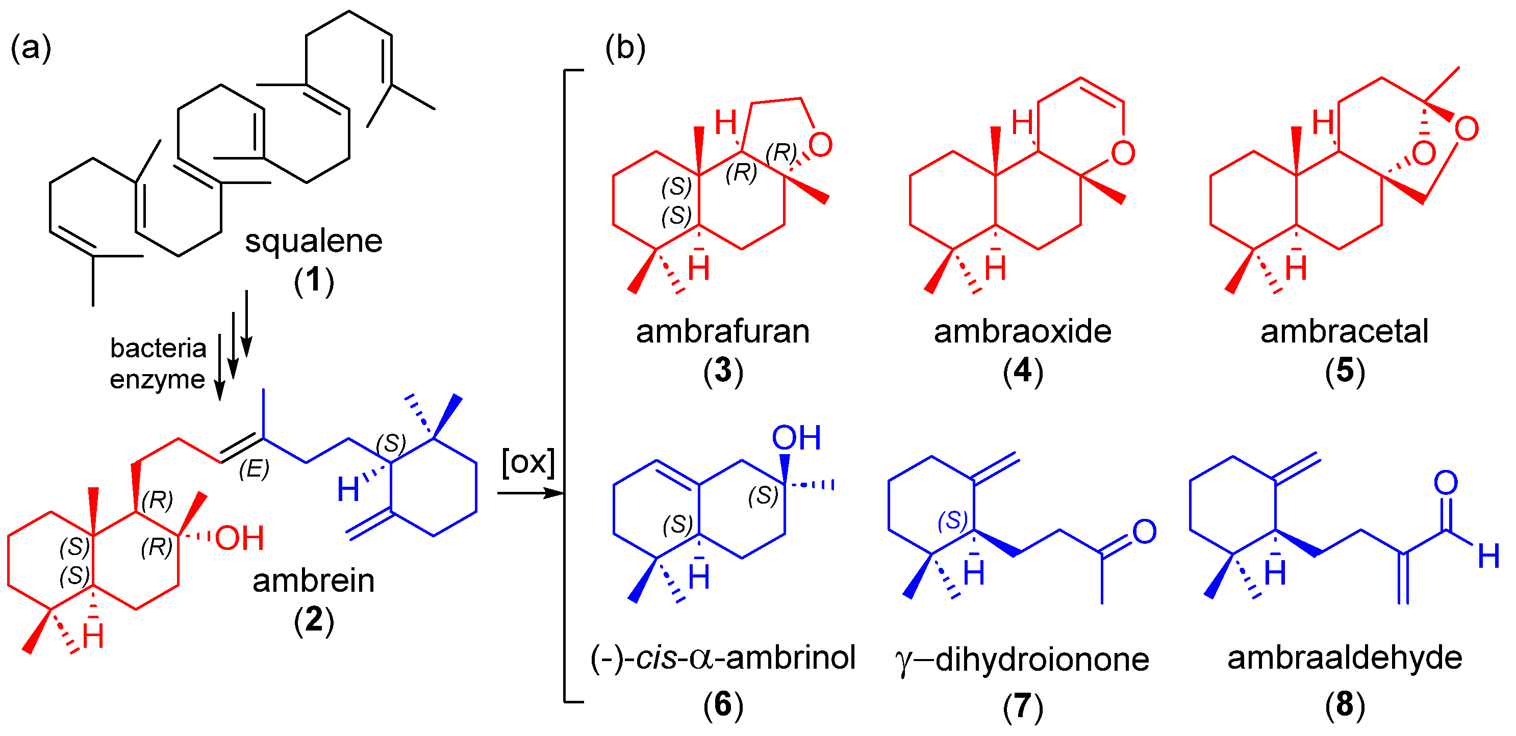 Marinedrugs 21 00230 sch001 550
