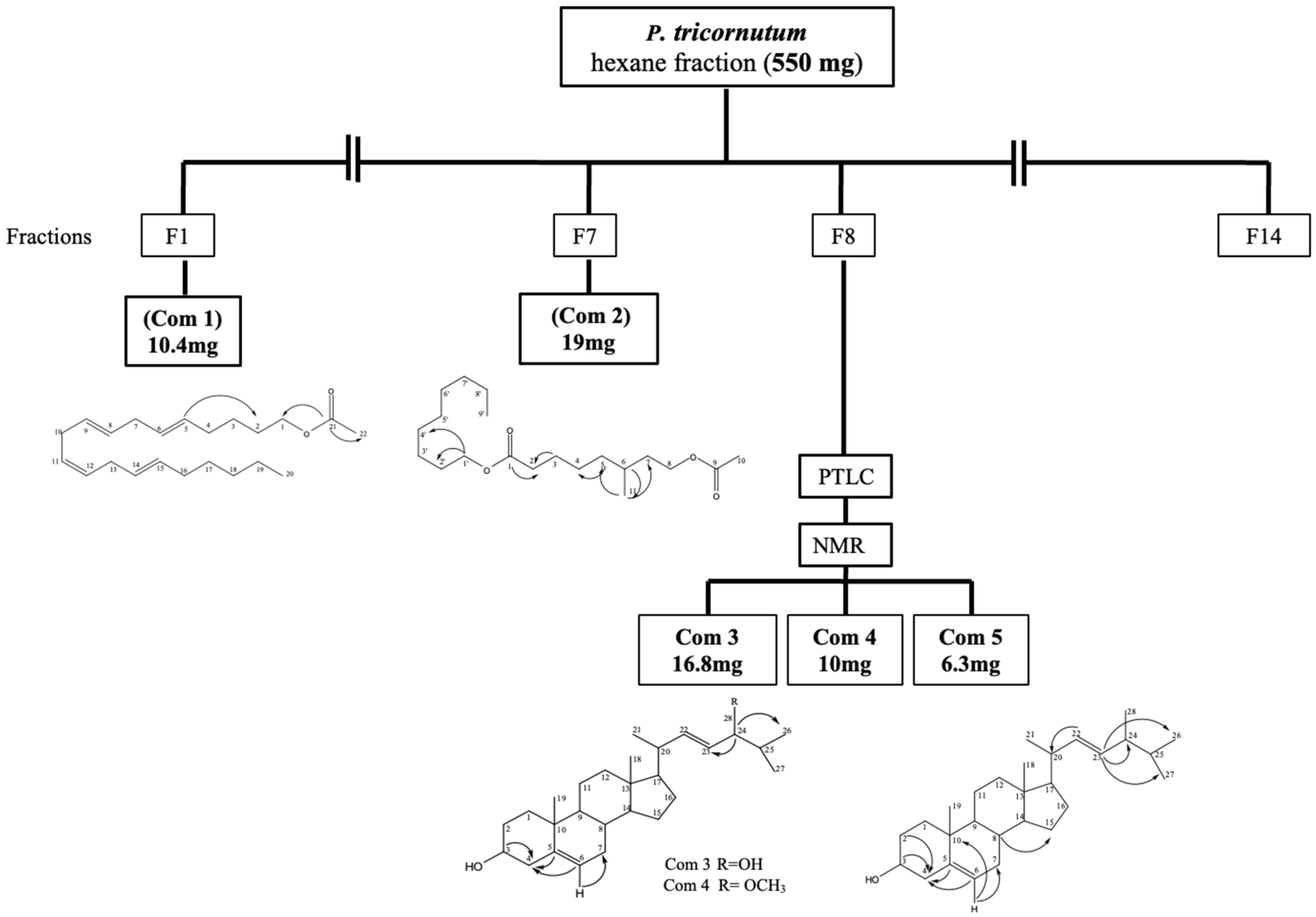 Marinedrugs 21 00231 g001 Marinedrugs 21 00231 g001