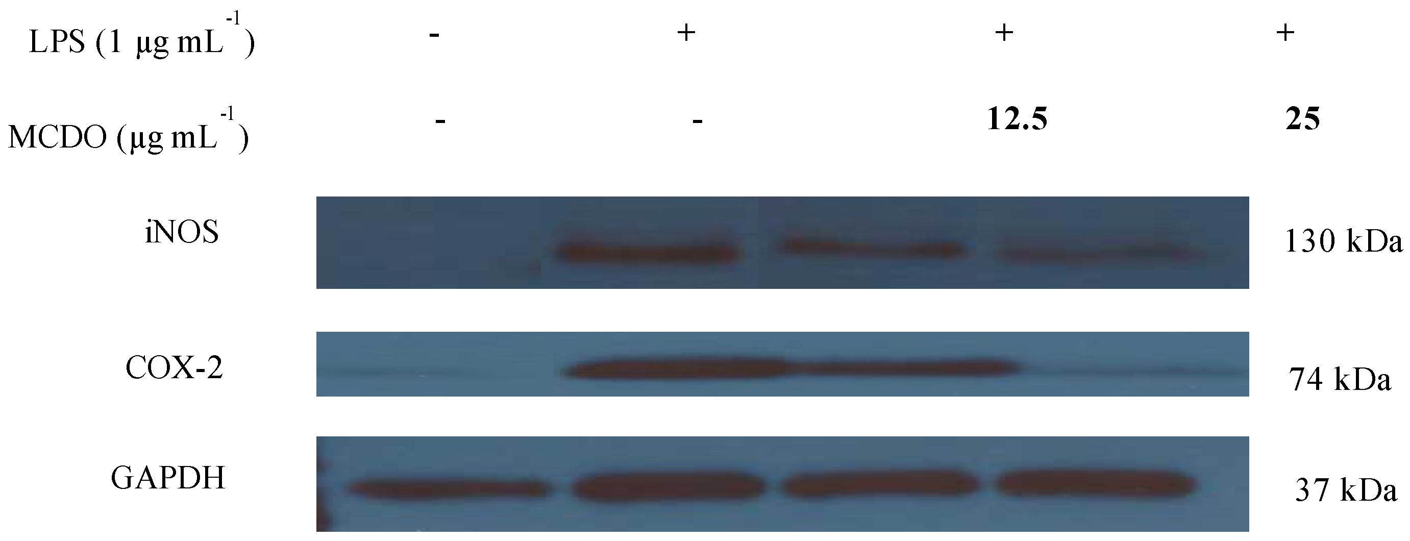 Marinedrugs 21 00231 g004 Marinedrugs 21 00231 g004