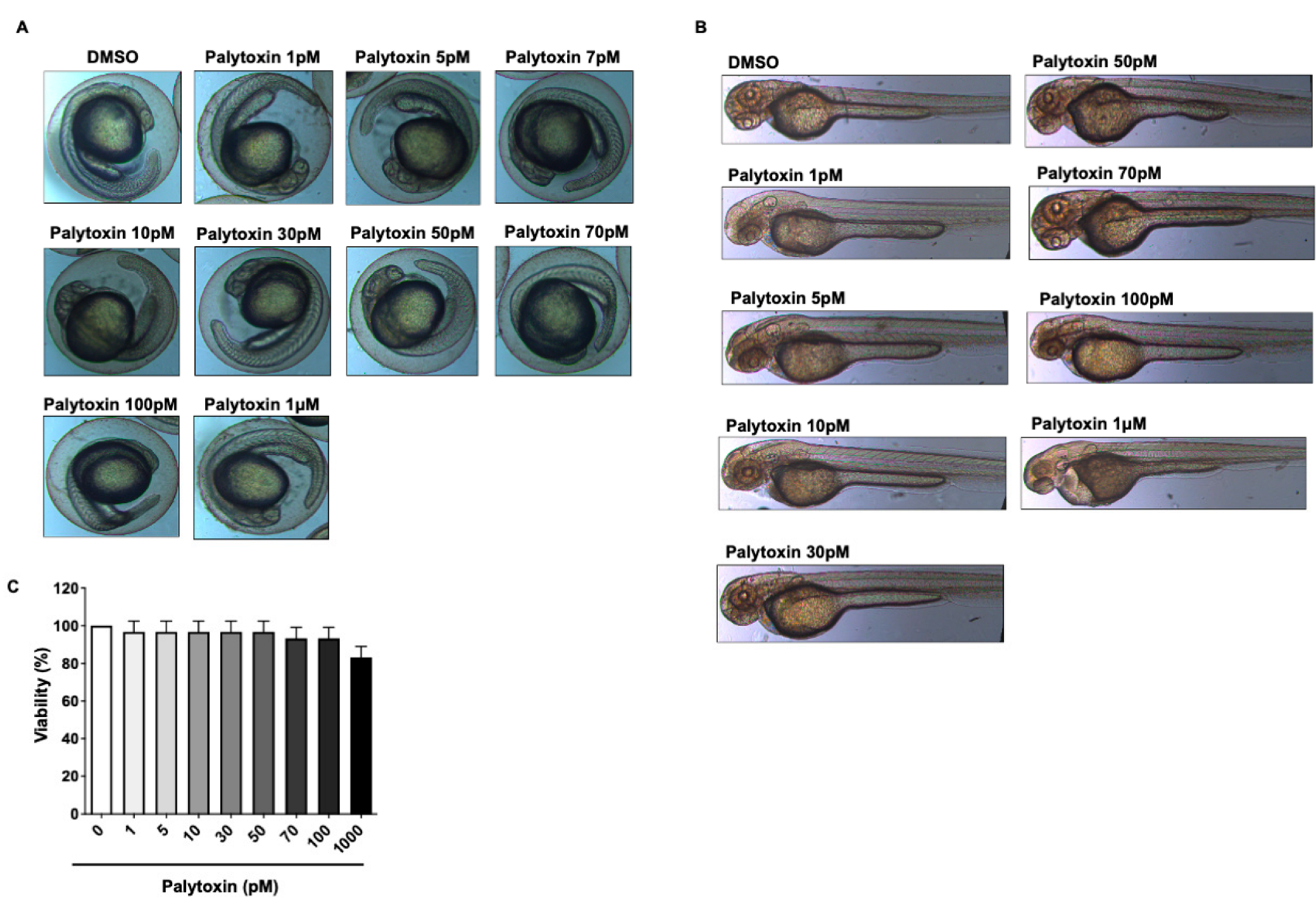 Marinedrugs 21 00233 g003