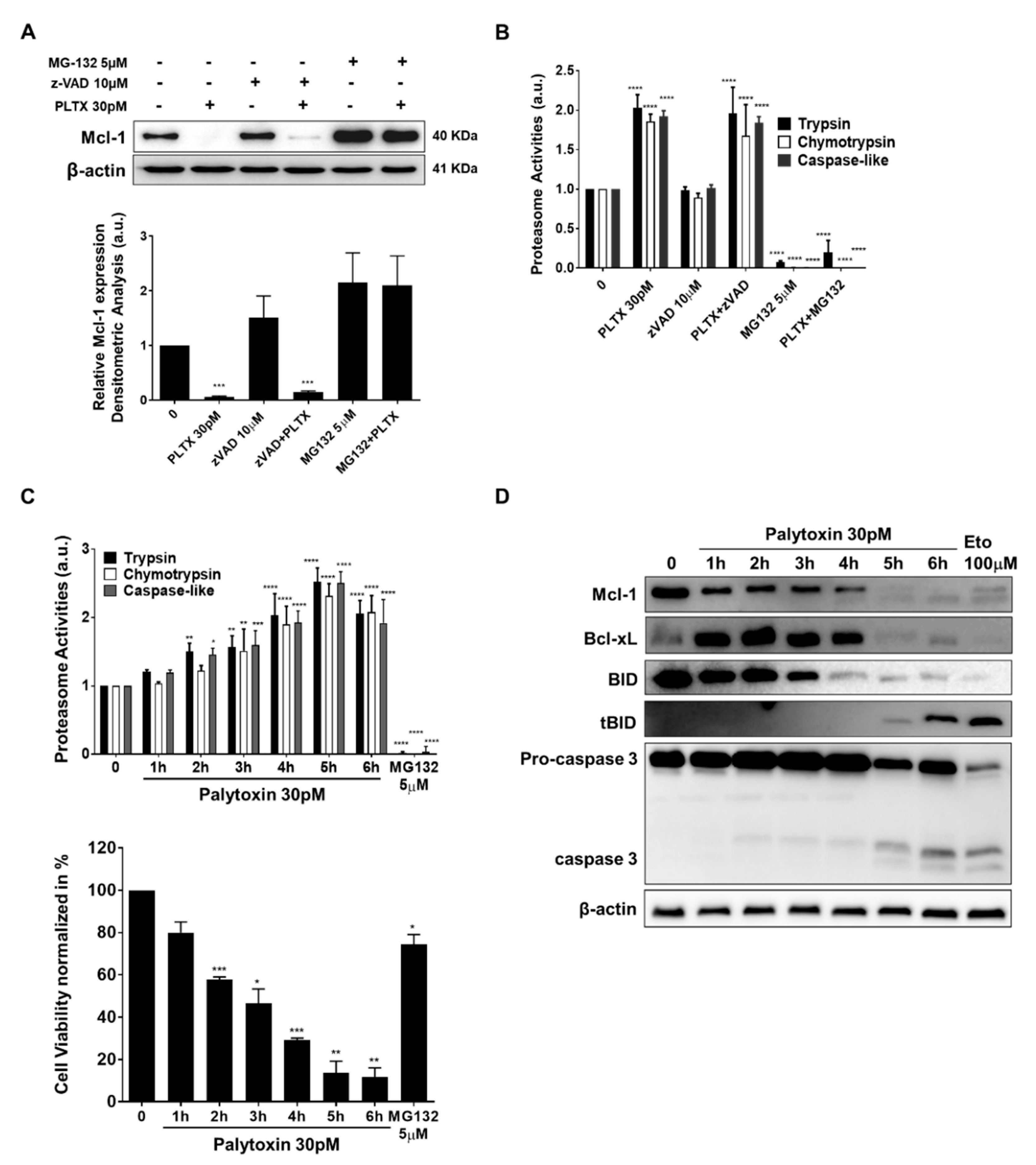 Marinedrugs 21 00233 g006