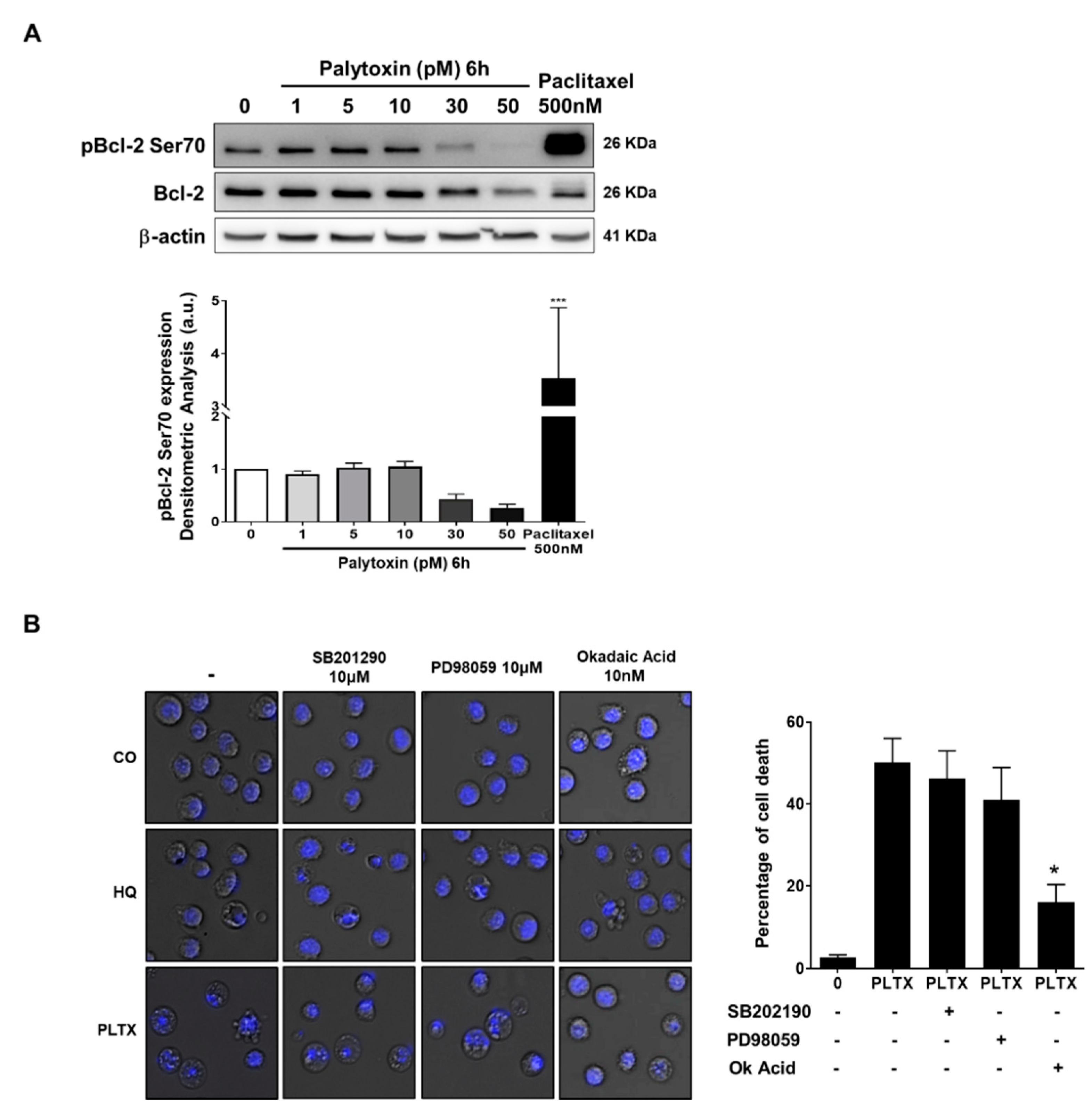 Marinedrugs 21 00233 g007