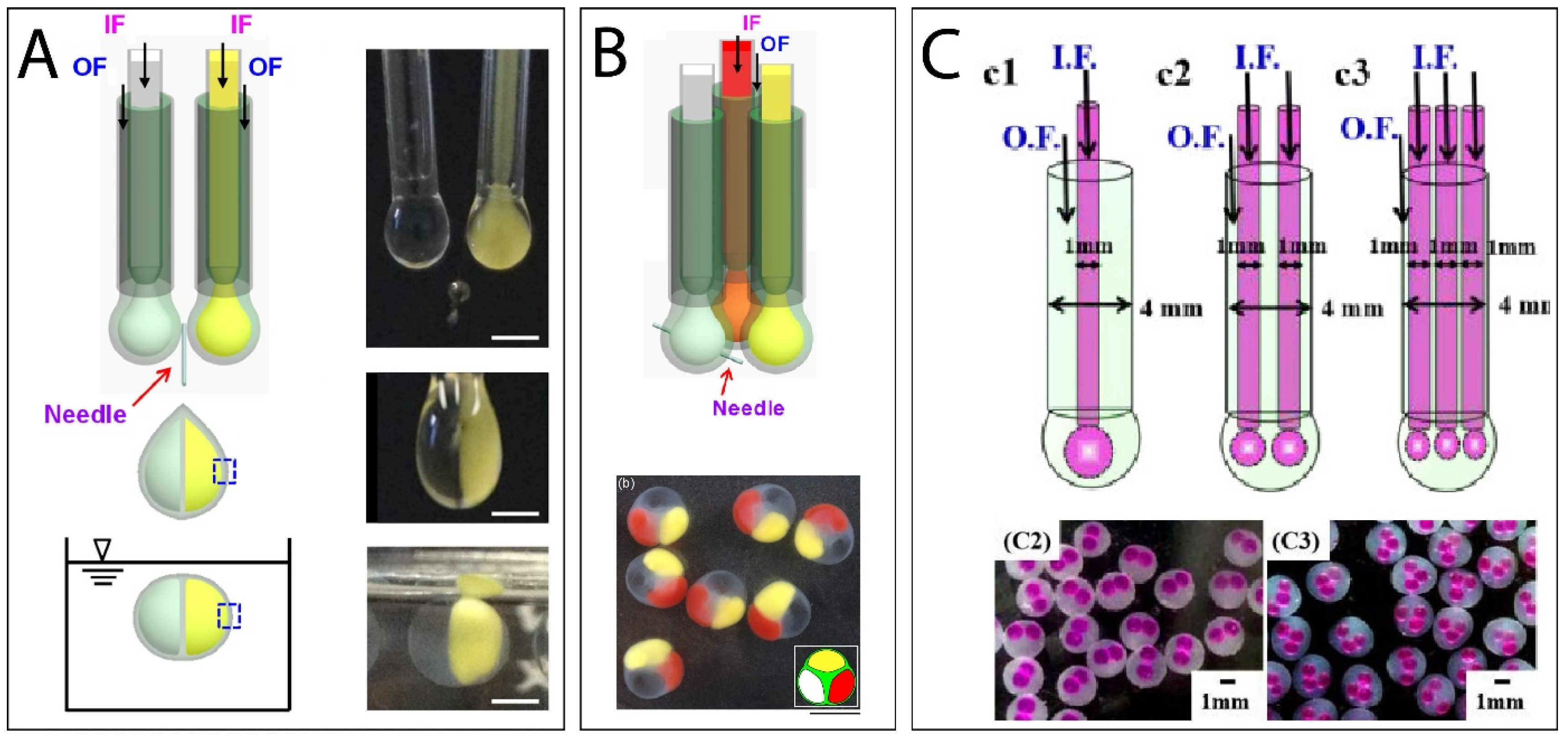 Marinedrugs 21 00235 g010