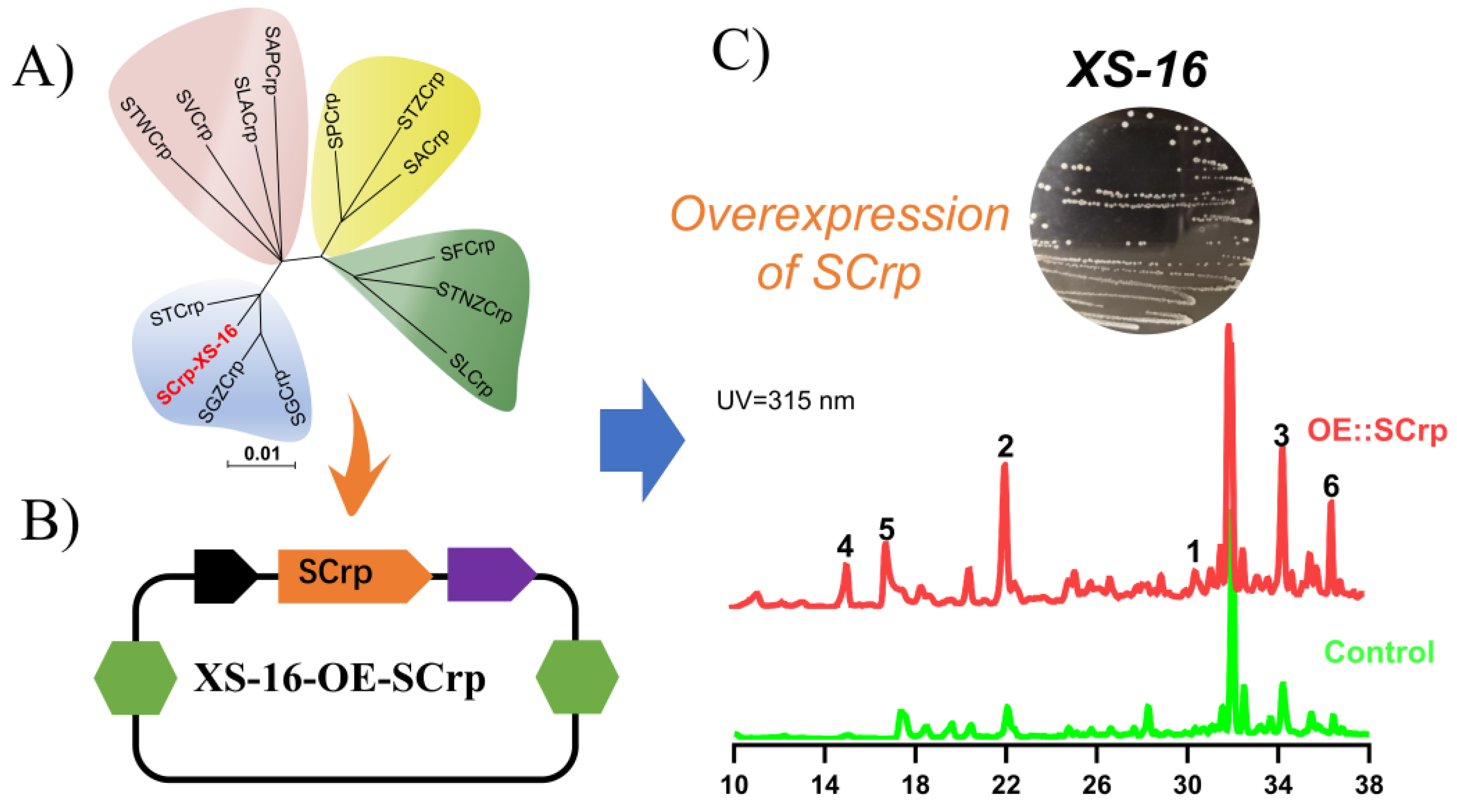 Marinedrugs 21 00240 g001