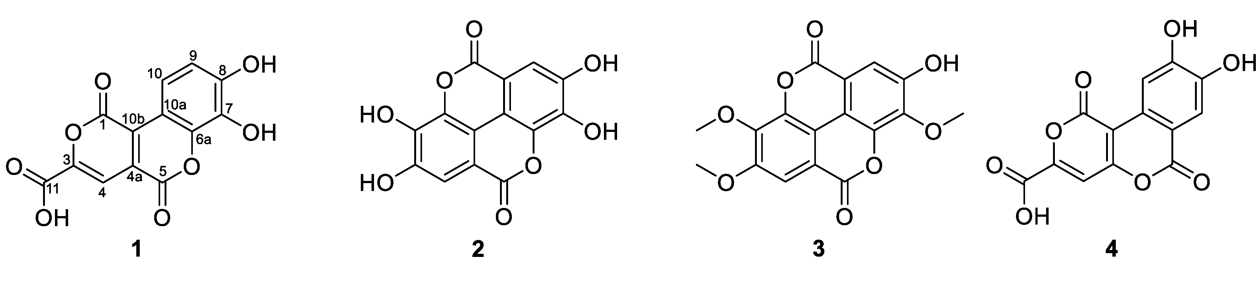 Marinedrugs 21 00242 g002