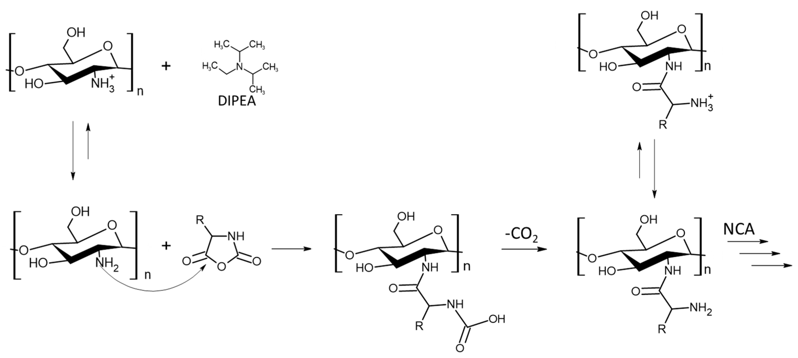 Marinedrugs 21 00243 g004