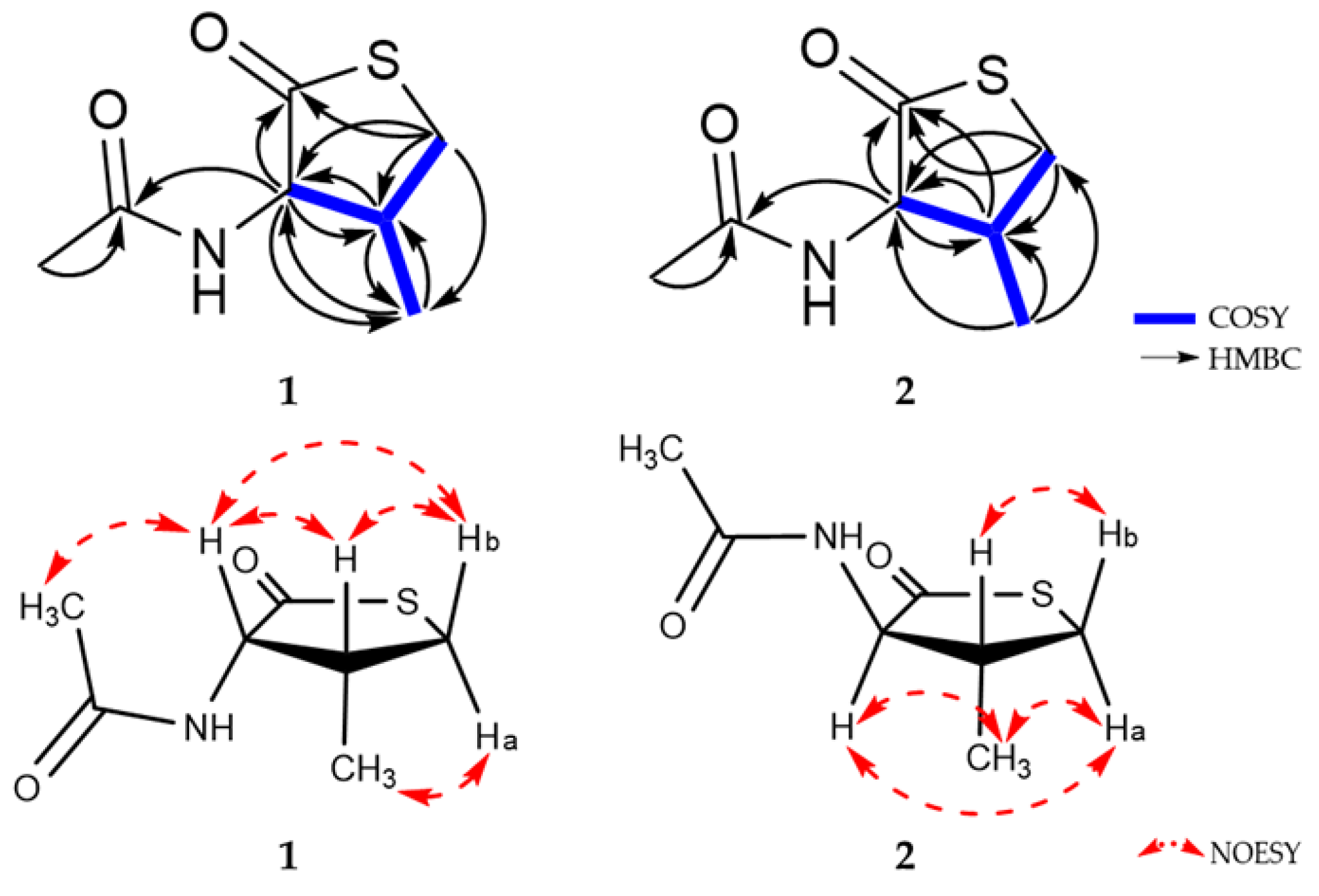 Marinedrugs 21 00246 g002 Marinedrugs 21 00246 g002
