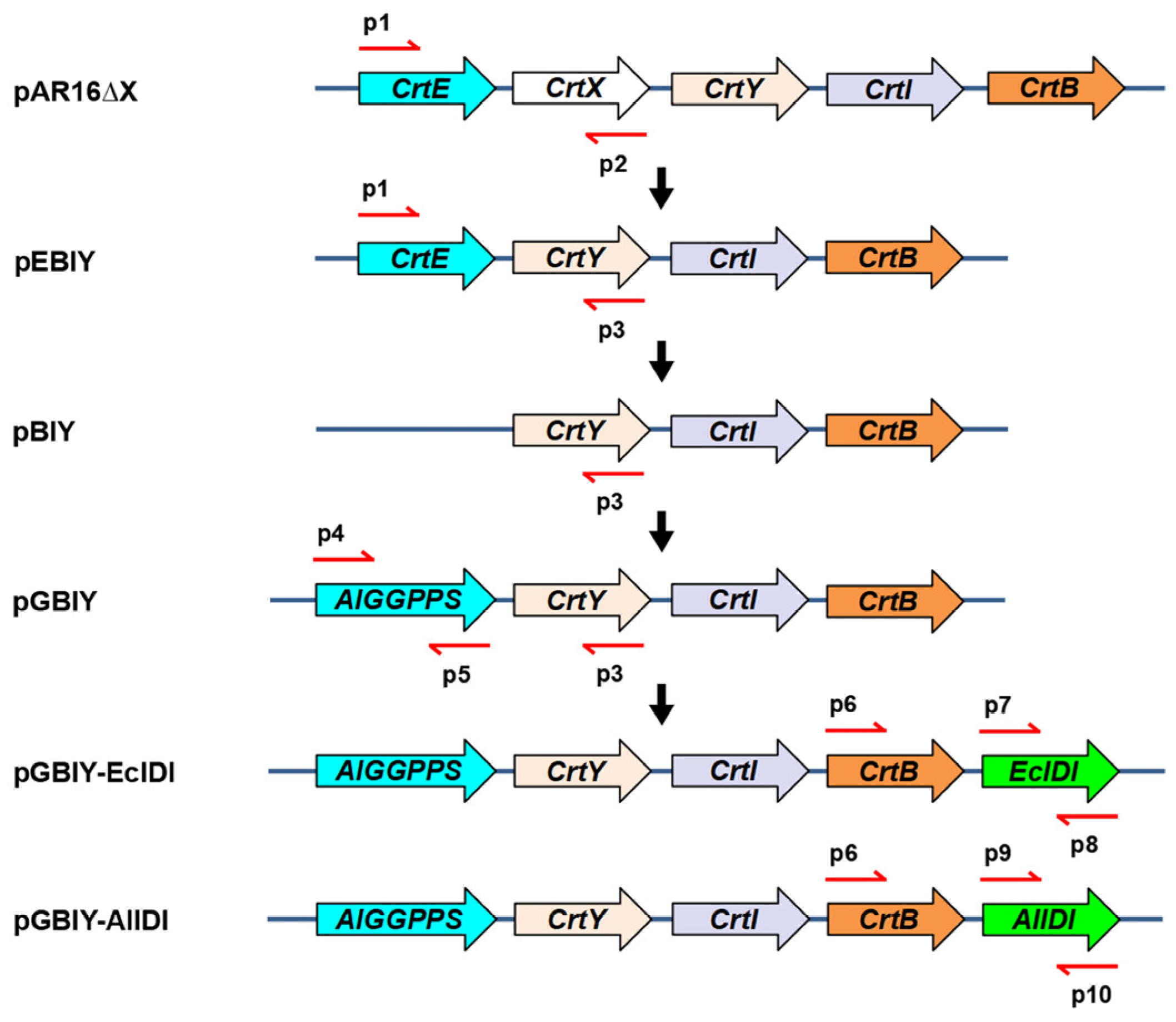 Marinedrugs 21 00249 g004