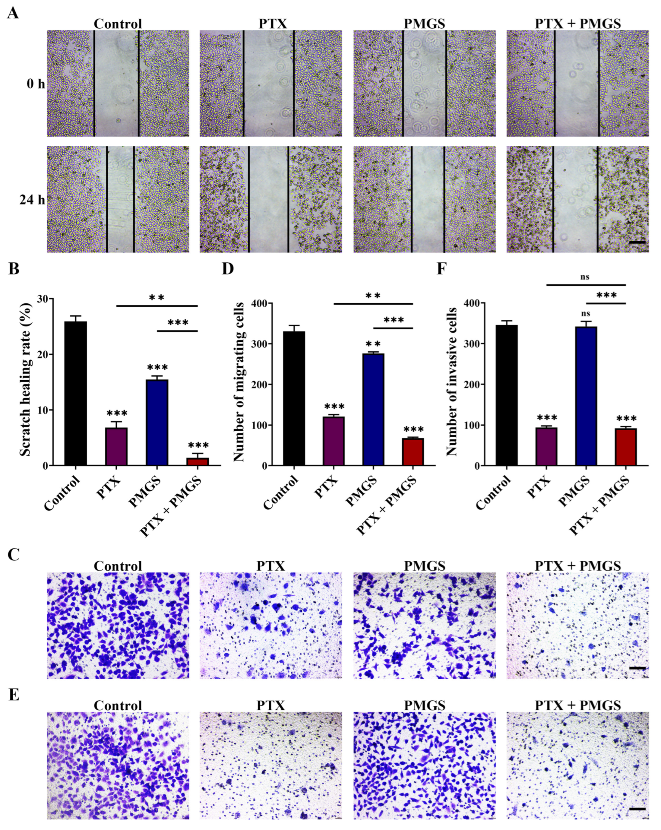 Marinedrugs 21 00259 g005 Marinedrugs 21 00259 g005