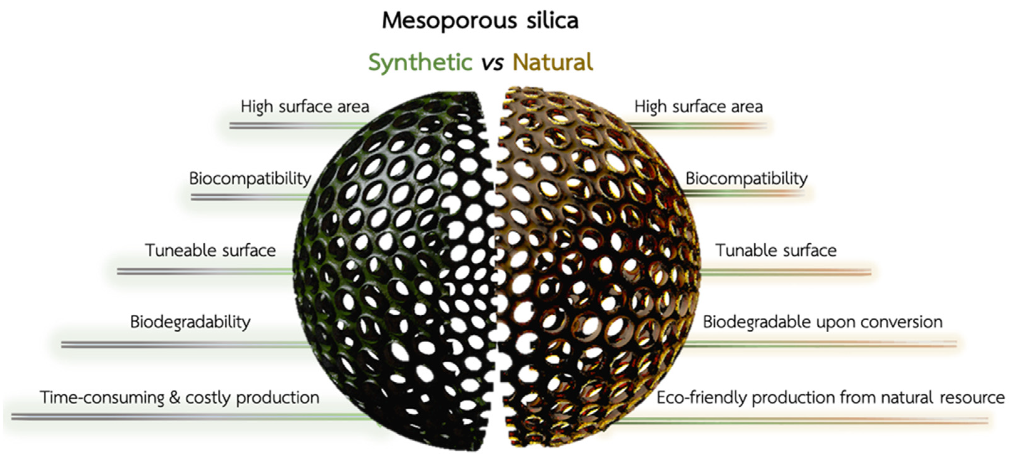 Marinedrugs 21 00266 g001