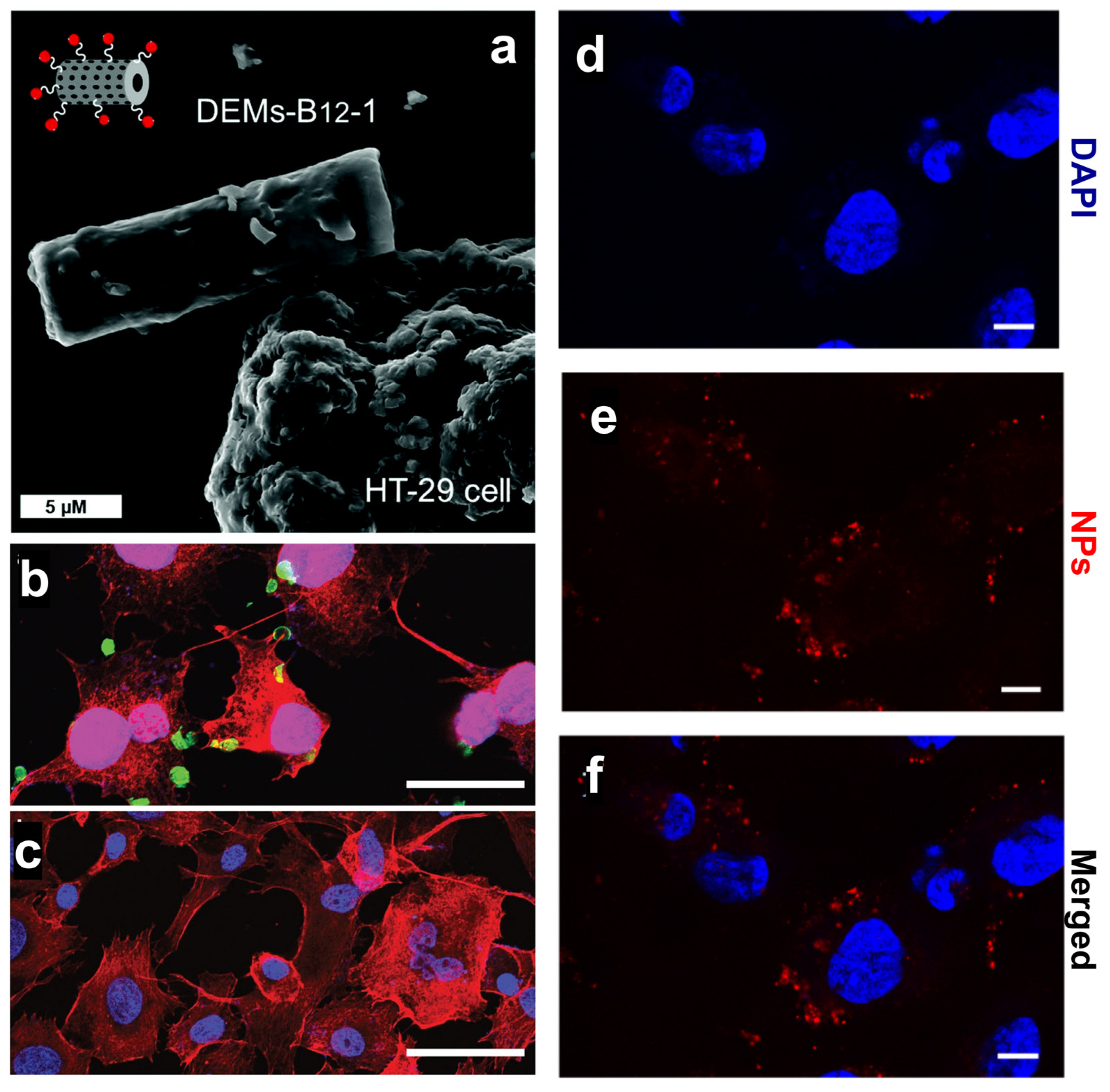 Marinedrugs 21 00266 g002