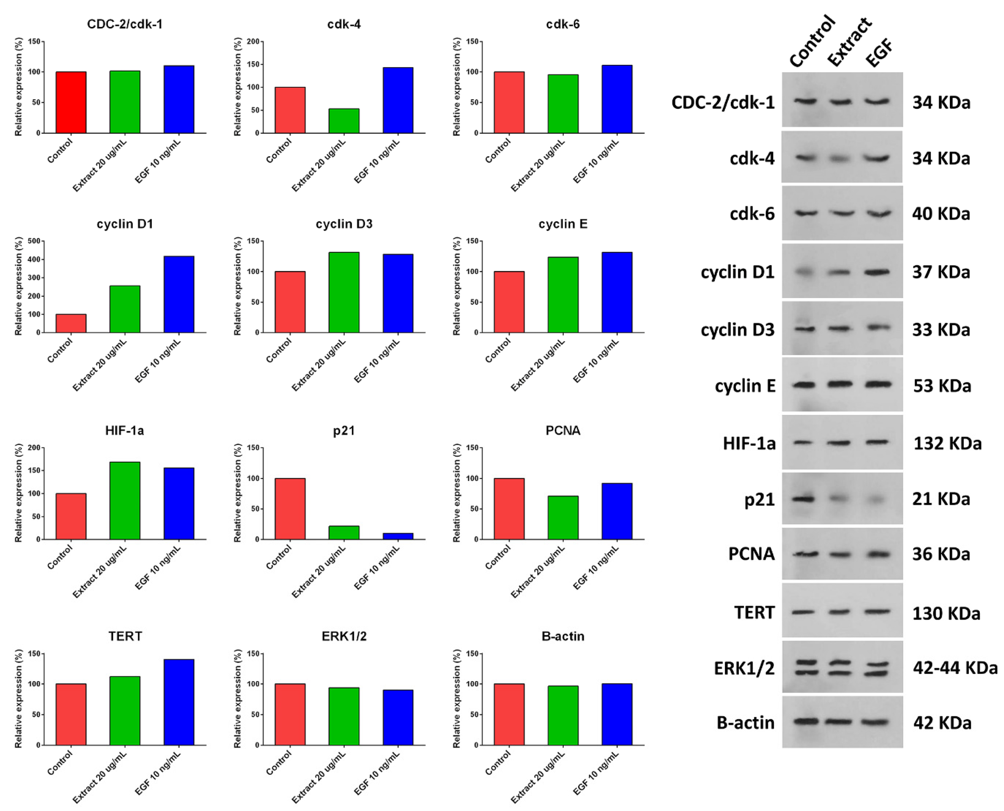Marinedrugs 21 00267 g005 Marinedrugs 21 00267 g005