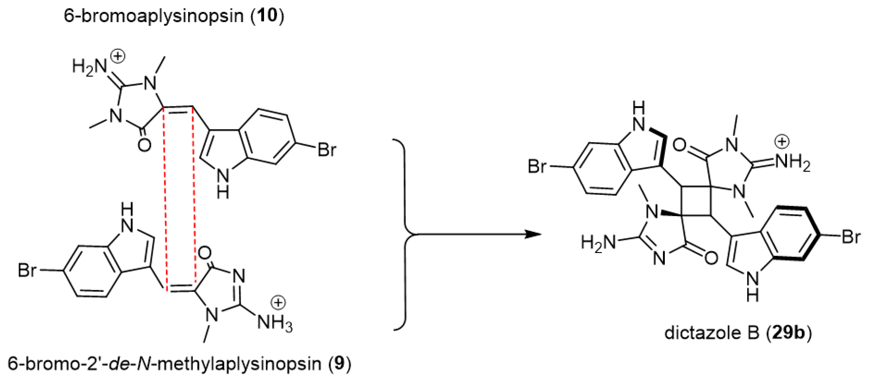 Marinedrugs 21 00268 sch006 Marinedrugs 21 00268 sch006