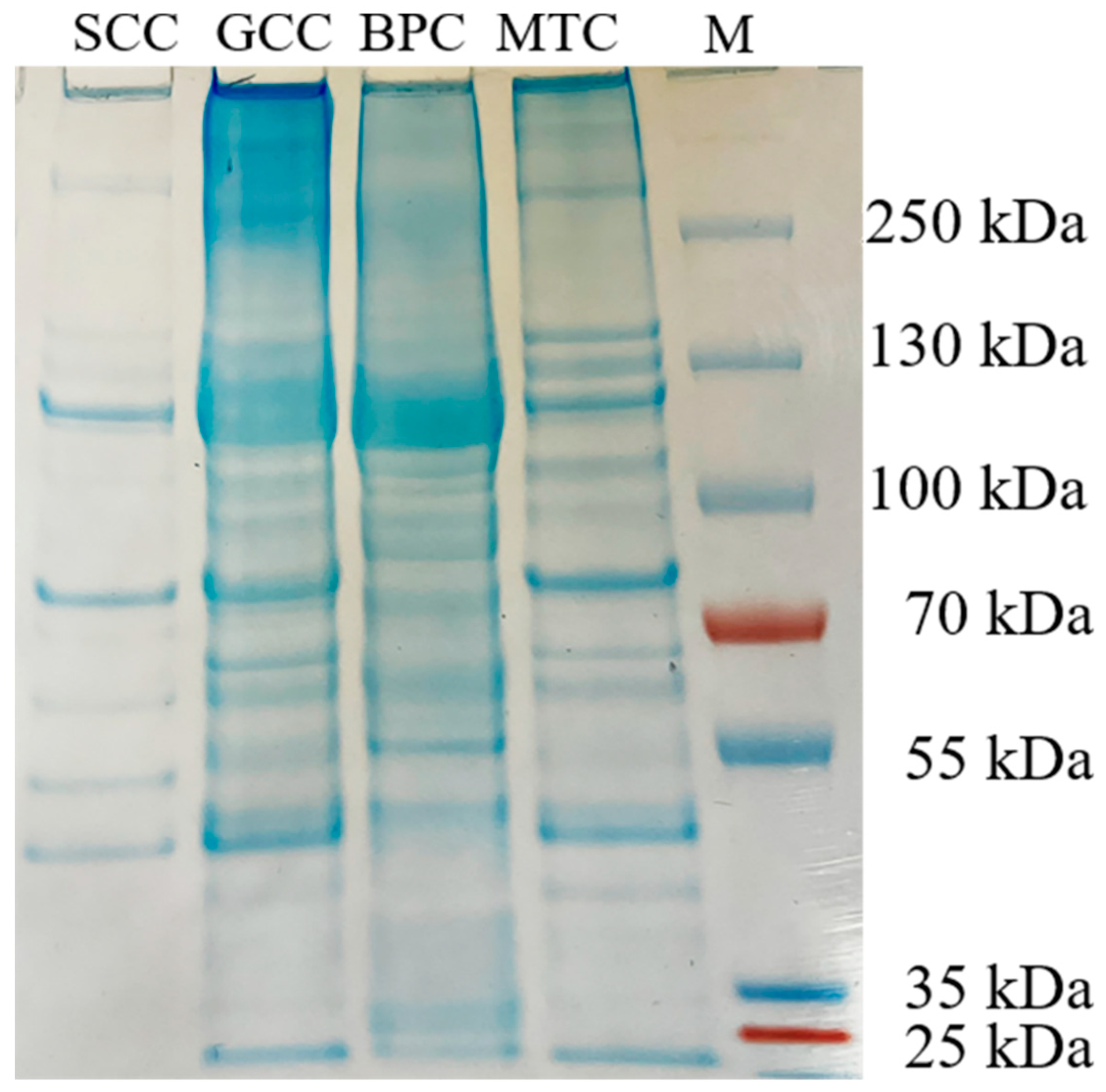 Marinedrugs 21 00280 g002 Marinedrugs 21 00280 g002