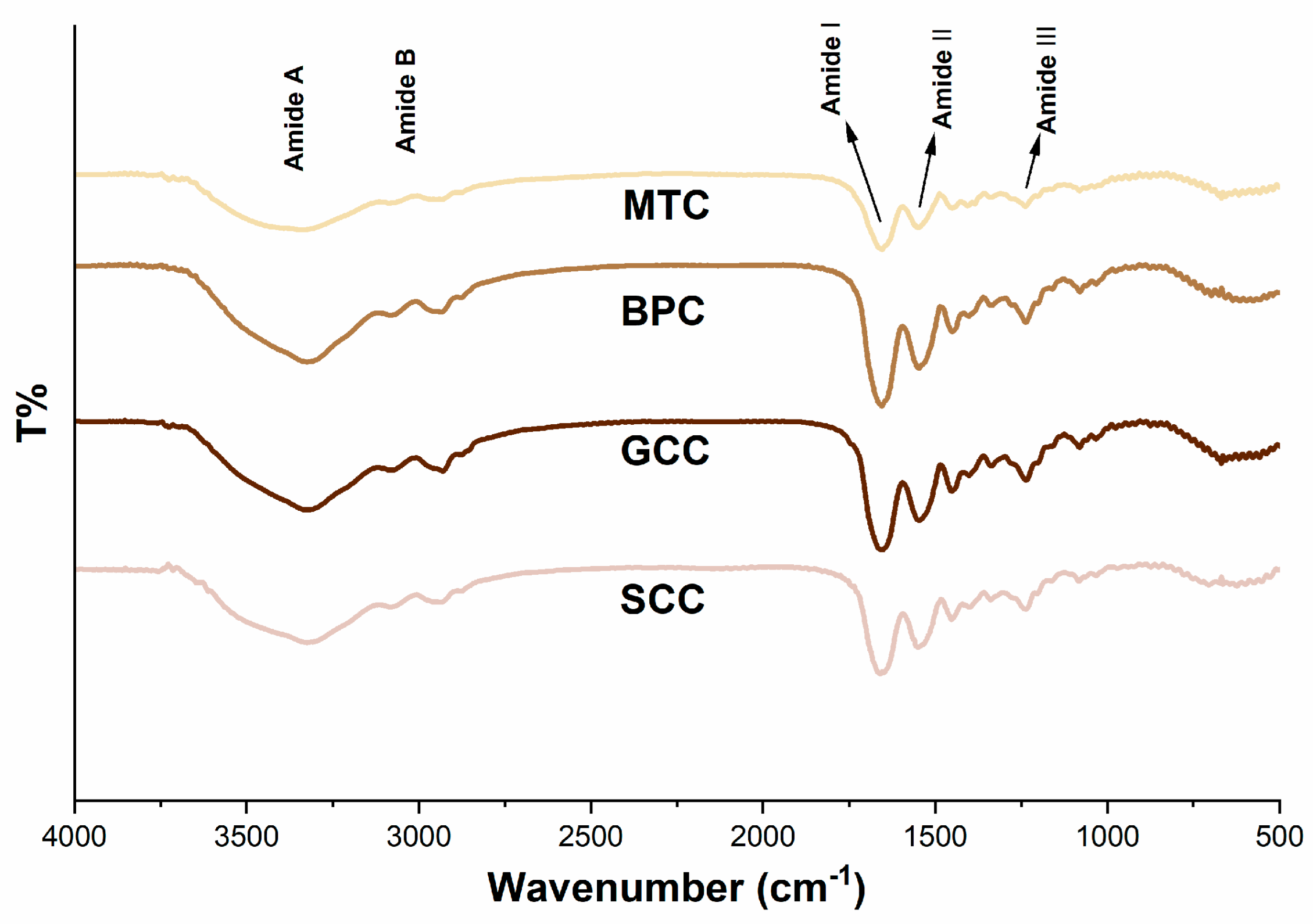 Marinedrugs 21 00280 g004 Marinedrugs 21 00280 g004