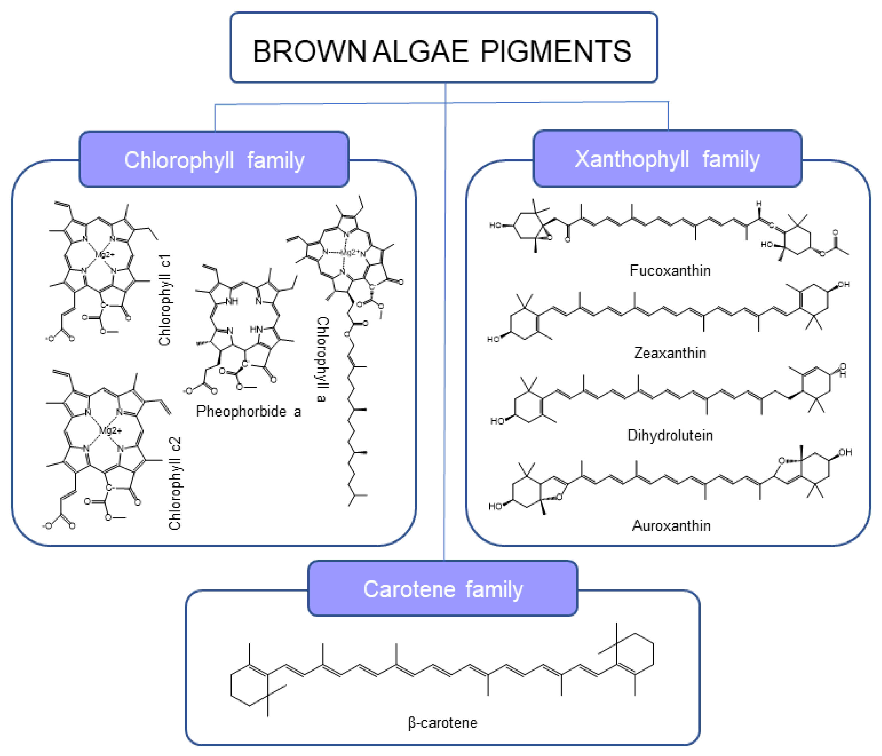 Marinedrugs 21 00282 g001 Marinedrugs 21 00282 g001