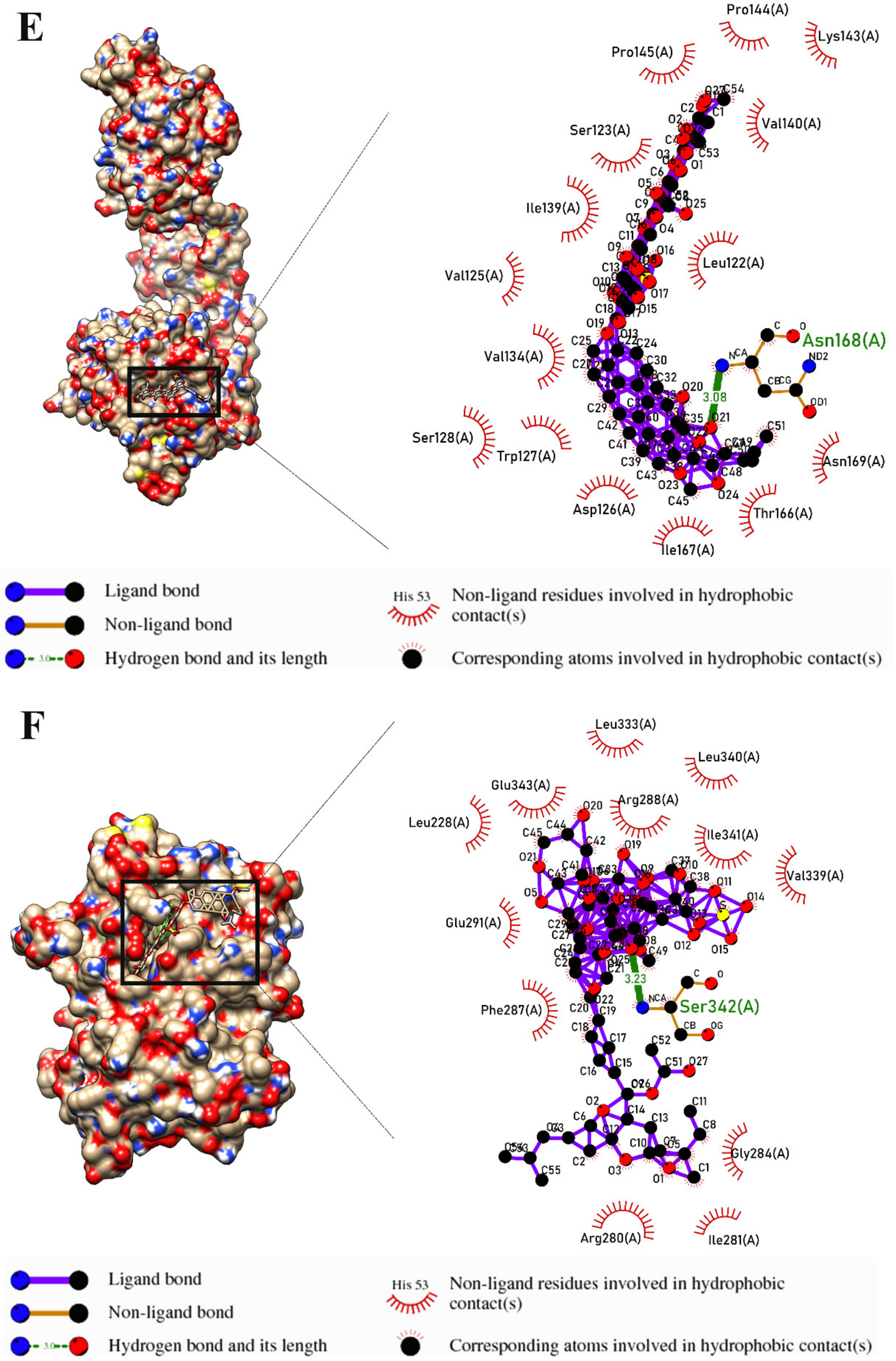 Marinedrugs 21 00283 g003c Marinedrugs 21 00283 g003c