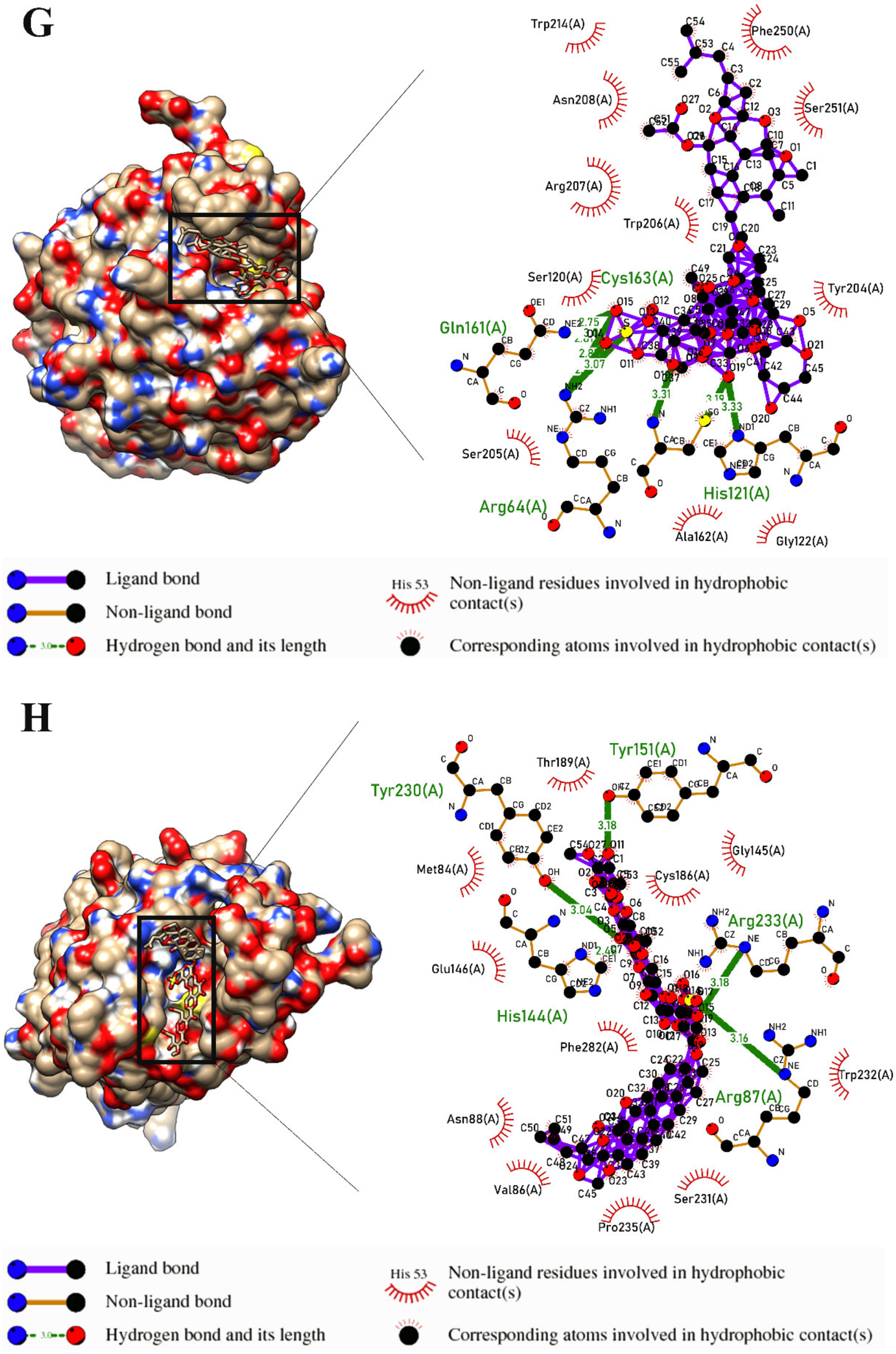 Marinedrugs 21 00283 g003d Marinedrugs 21 00283 g003d