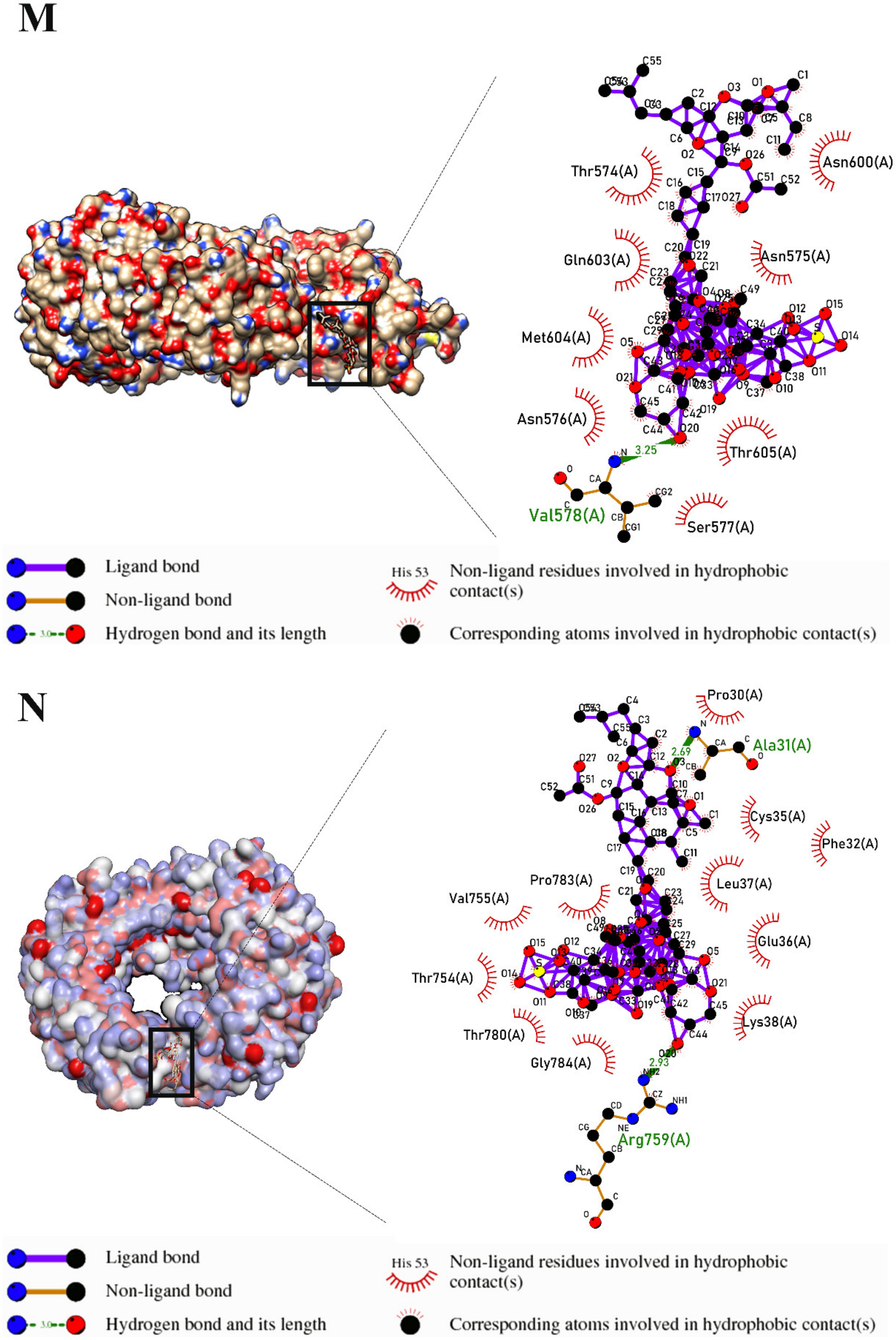 Marinedrugs 21 00283 g003g Marinedrugs 21 00283 g003g
