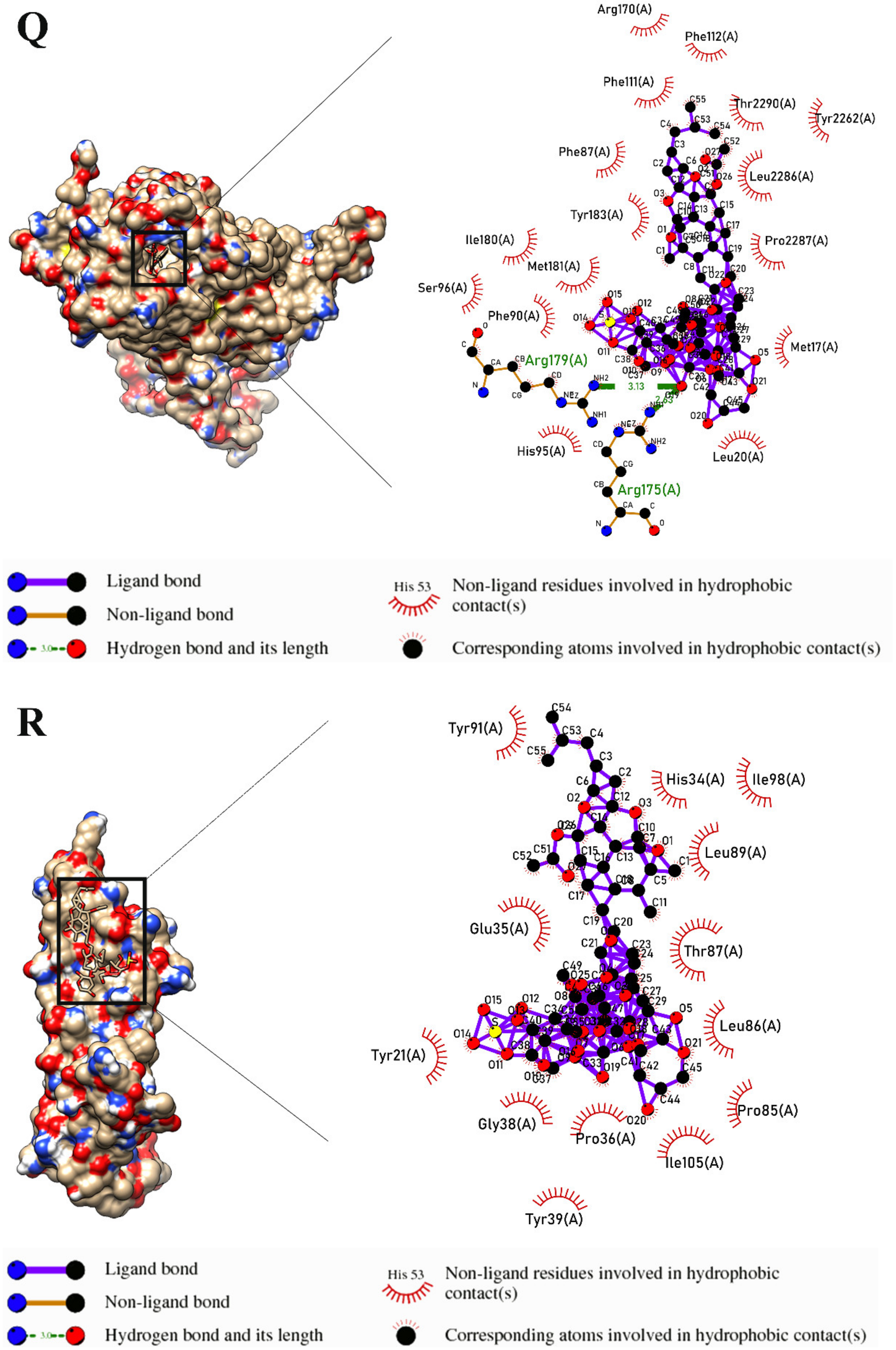 Marinedrugs 21 00283 g003i Marinedrugs 21 00283 g003i