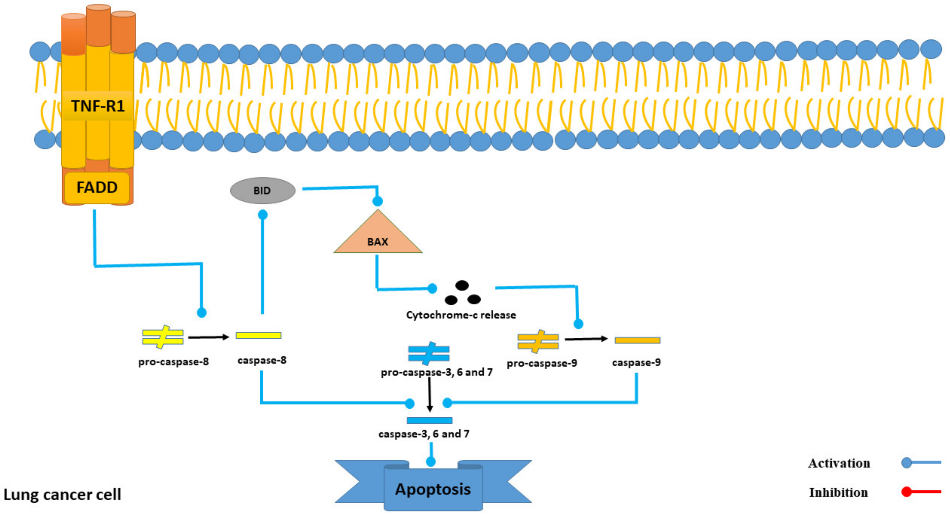 Marinedrugs 21 00283 g006 Marinedrugs 21 00283 g006