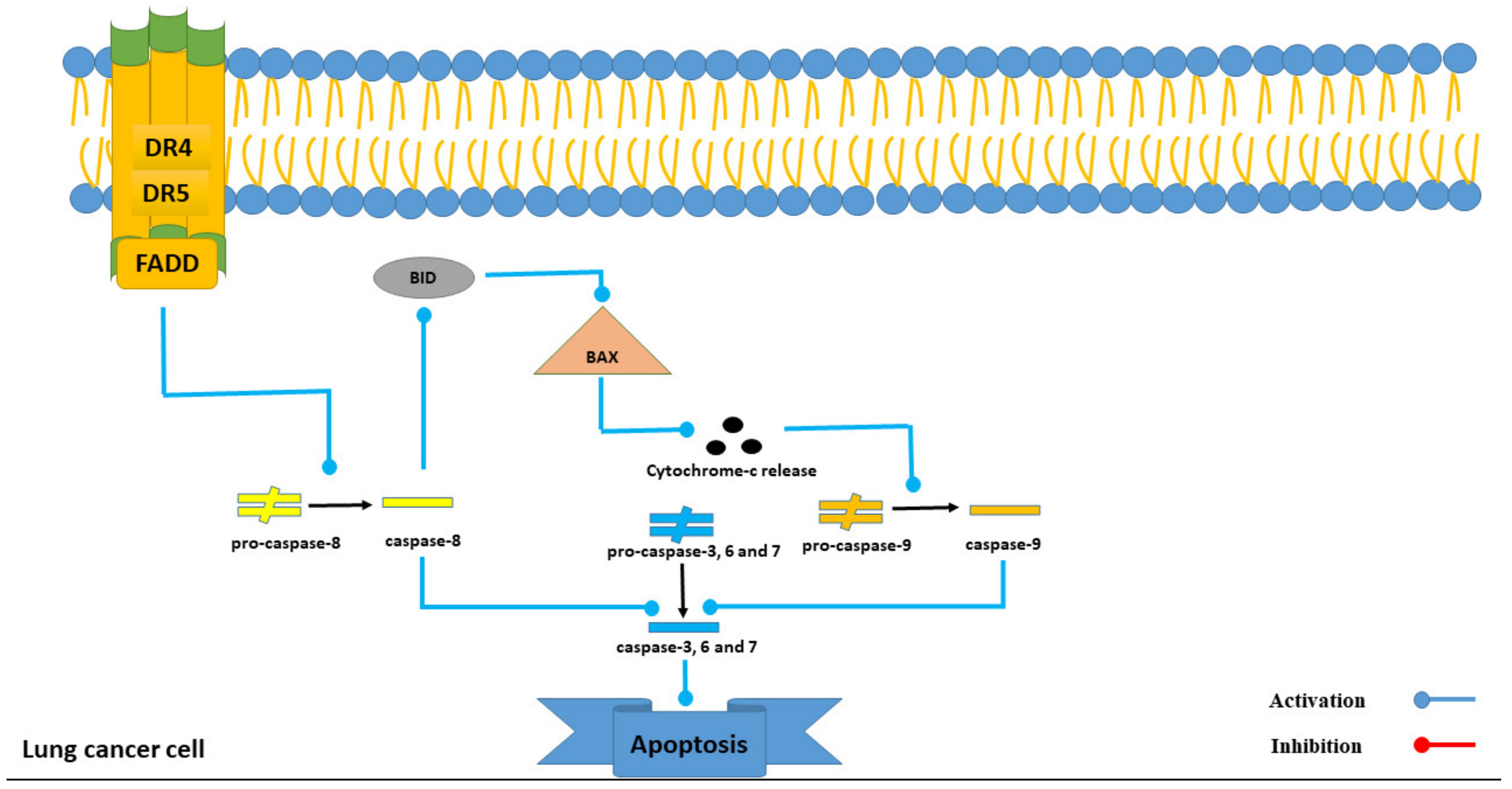 Marinedrugs 21 00283 g007 Marinedrugs 21 00283 g007