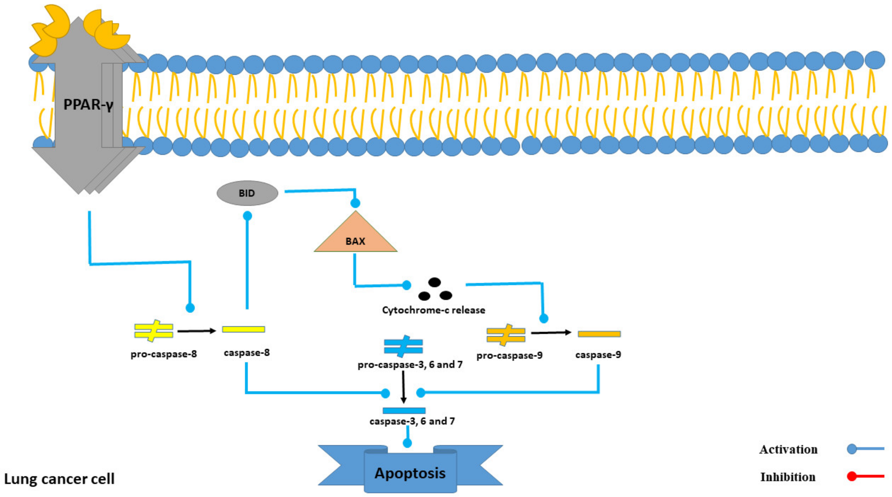 Marinedrugs 21 00283 g008 Marinedrugs 21 00283 g008