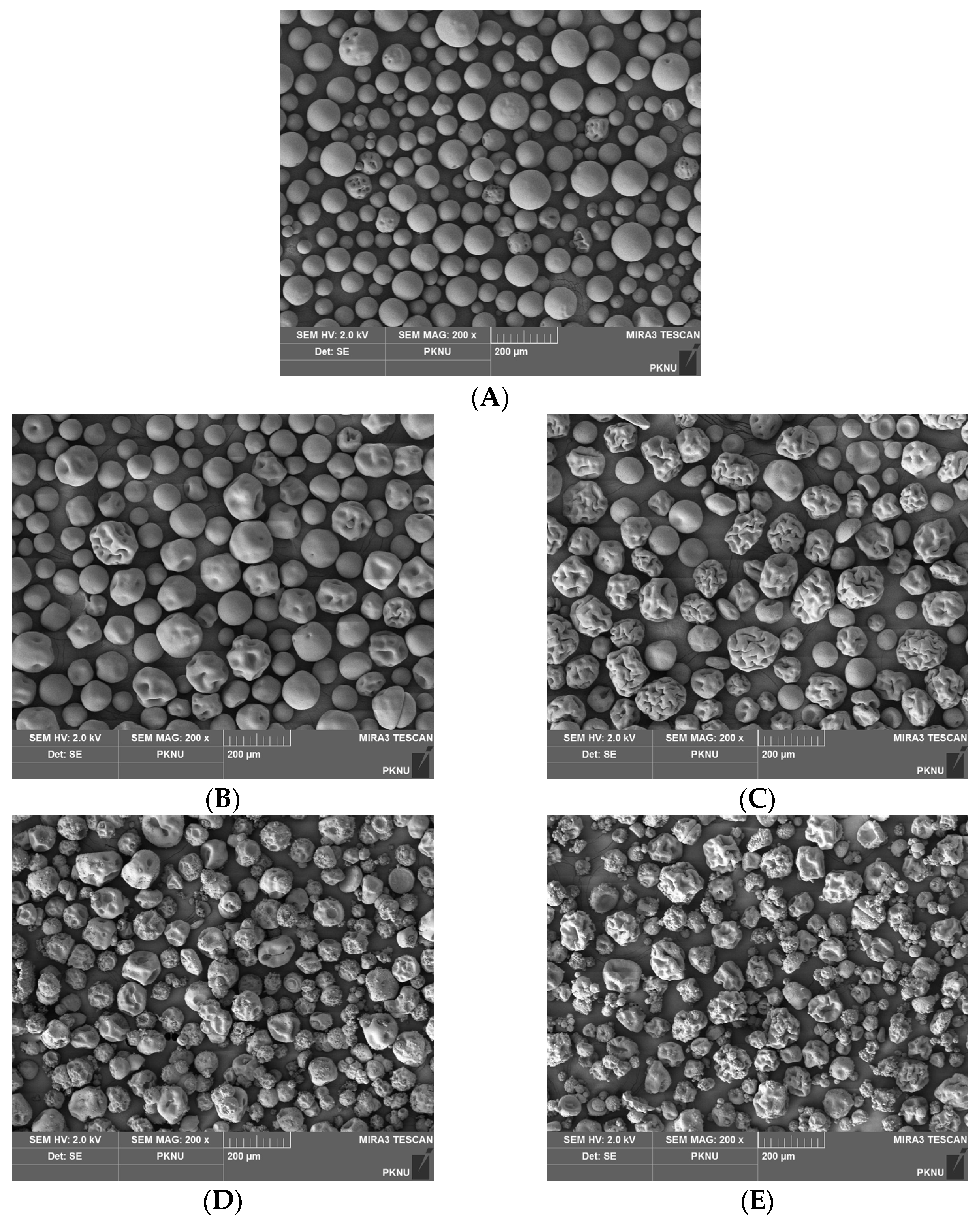 Marinedrugs 21 00287 g003