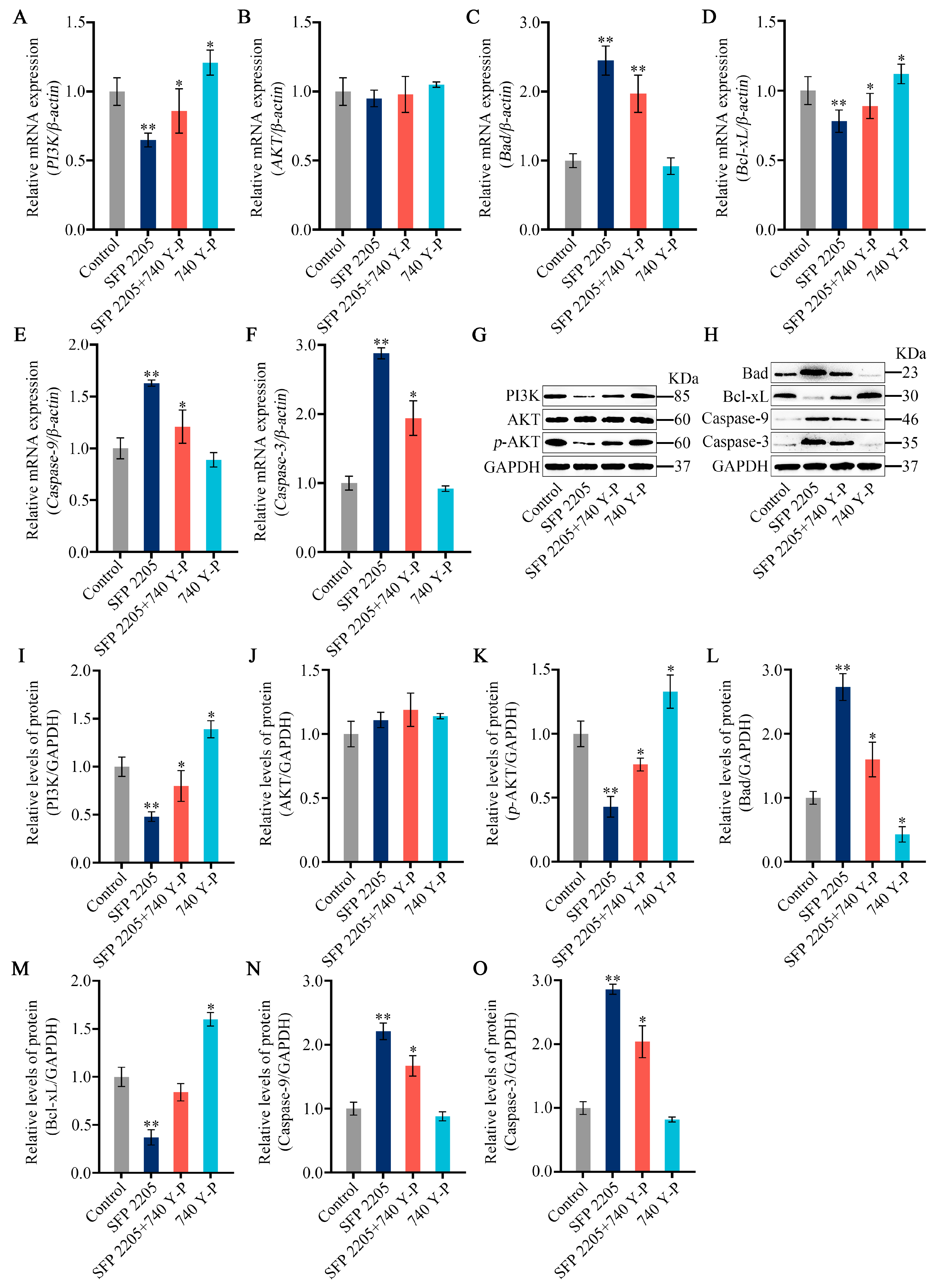 Marinedrugs 21 00289 g009 Marinedrugs 21 00289 g009