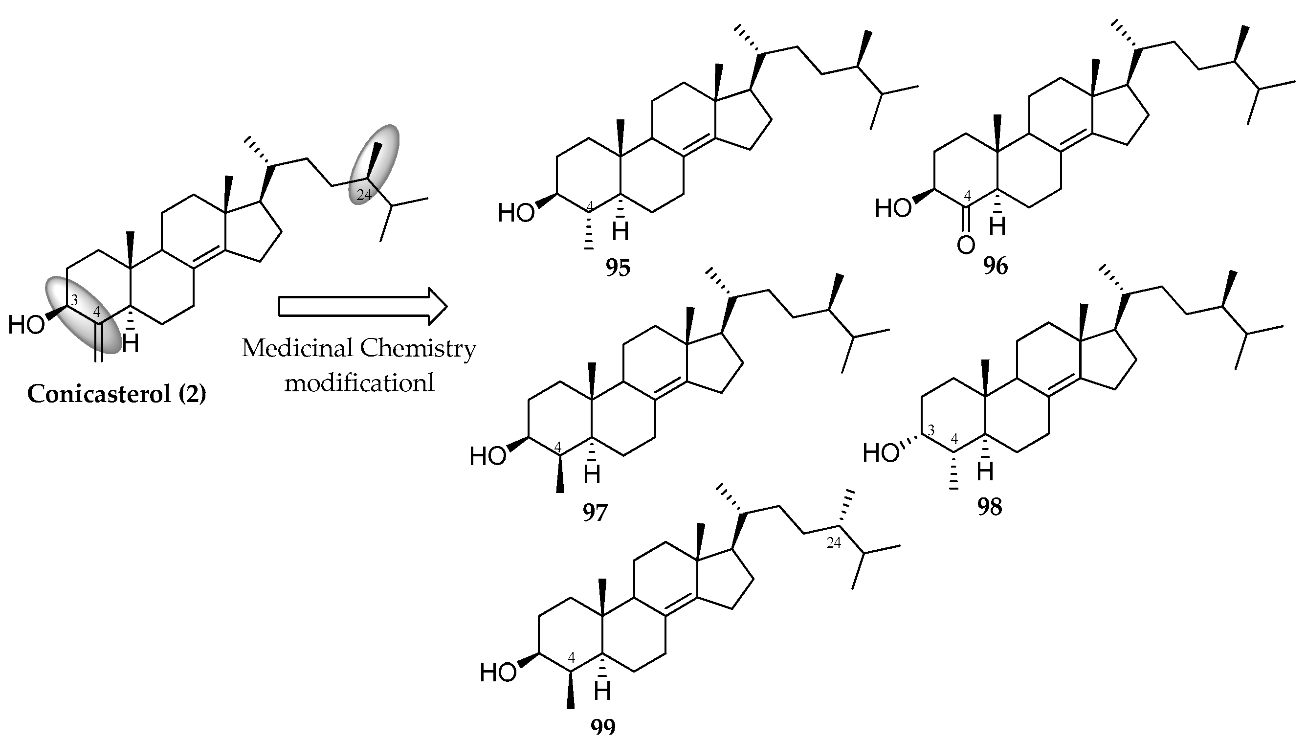 Marinedrugs 21 00291 g011