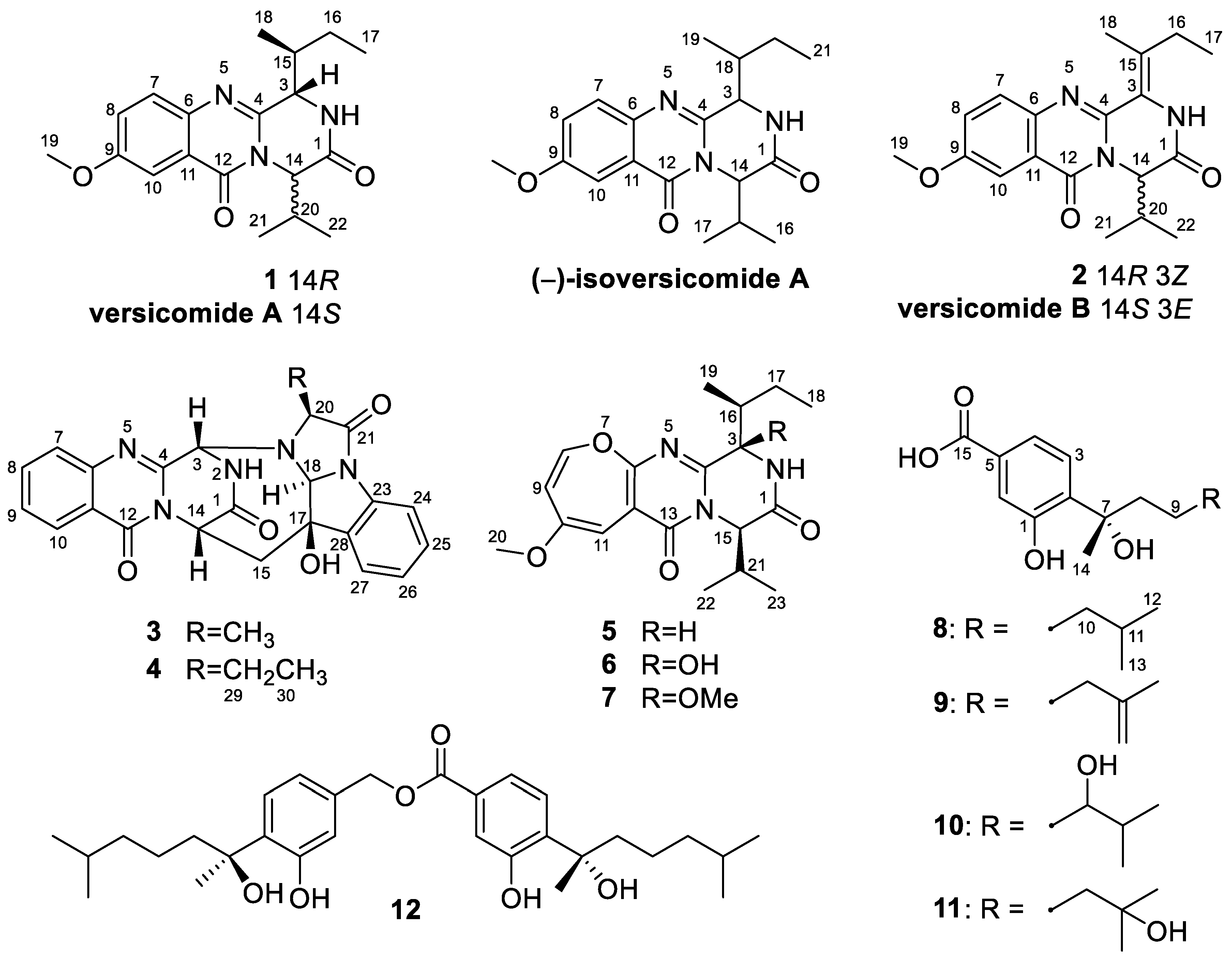 Diketopiperazine Alkaloids and Bisabolene Sesquiterpenoids