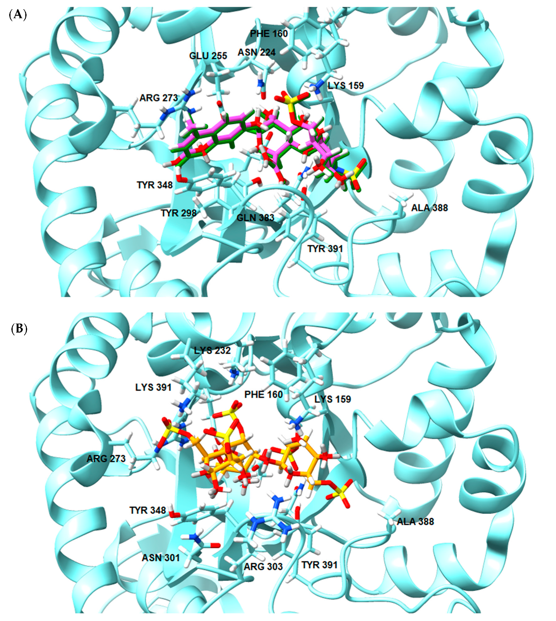 Marinedrugs 21 00295 g007 Marinedrugs 21 00295 g007