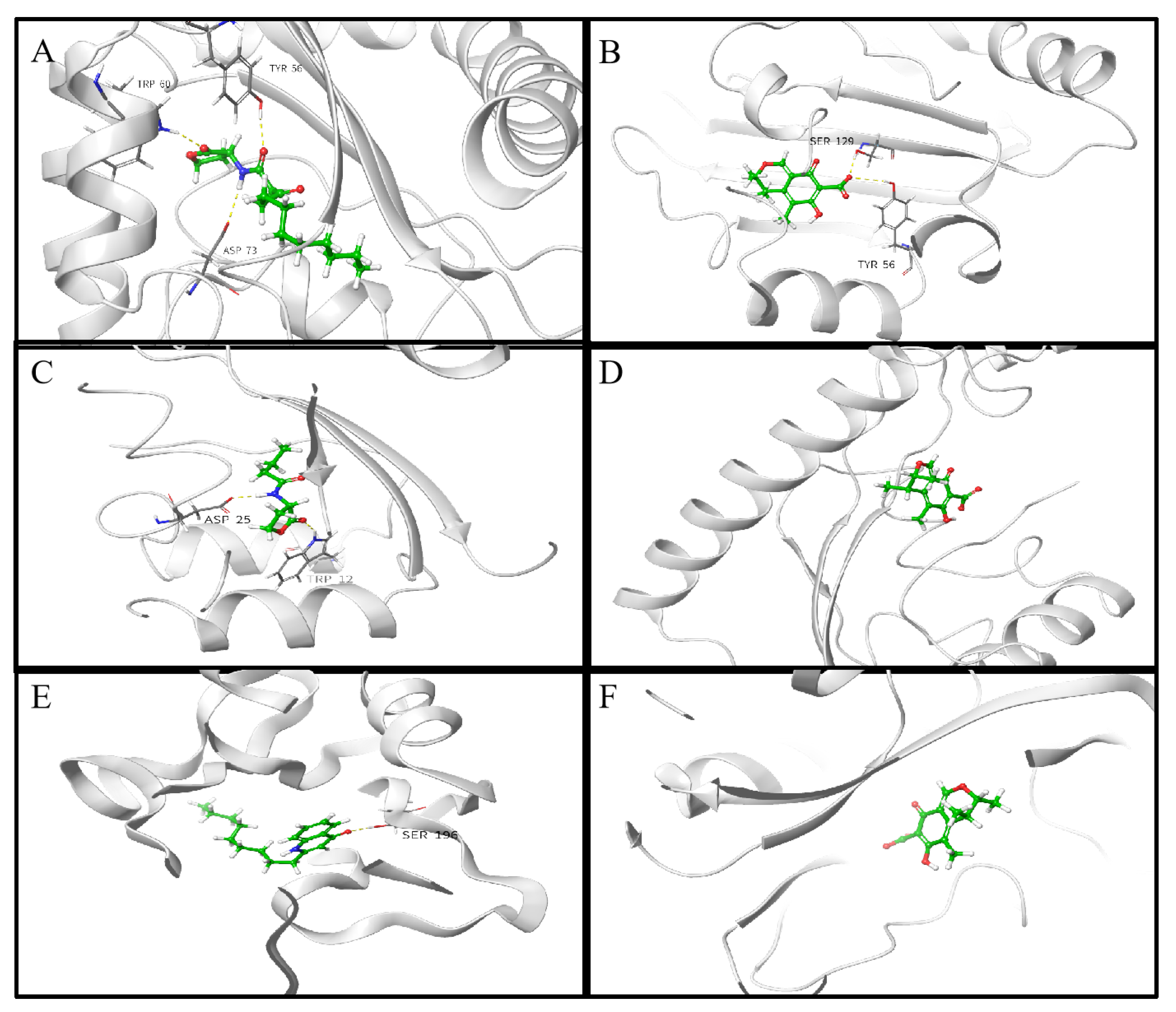Marinedrugs 21 00296 g008 Marinedrugs 21 00296 g008