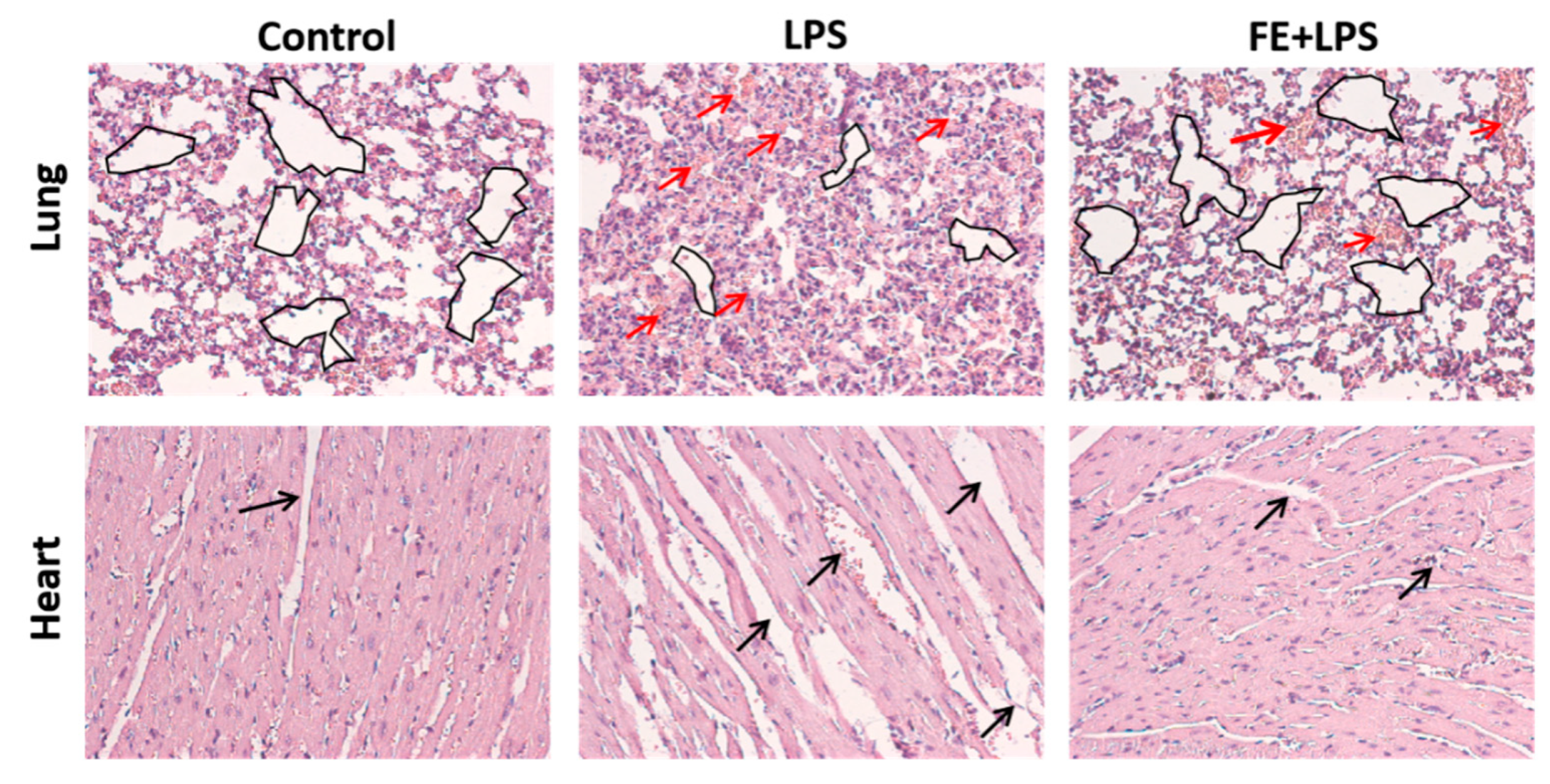 Marinedrugs 21 00302 g004