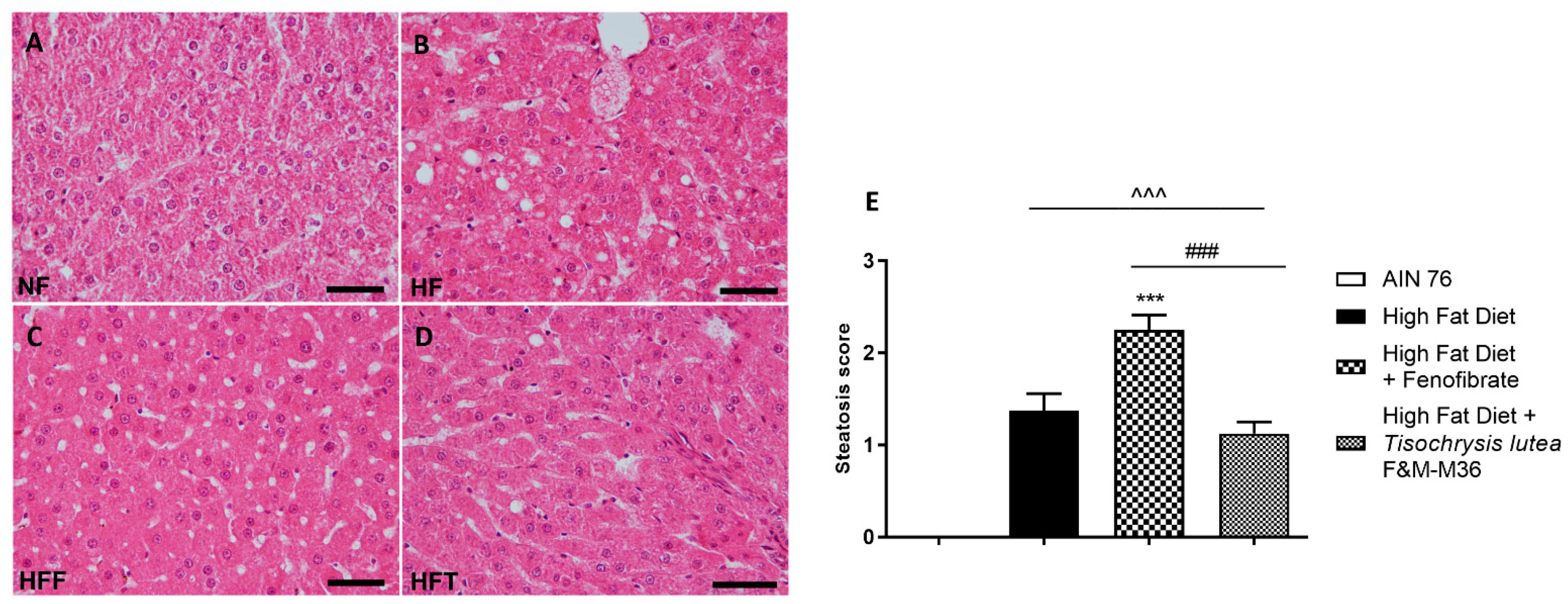 Marinedrugs 21 00303 g001 Marinedrugs 21 00303 g001