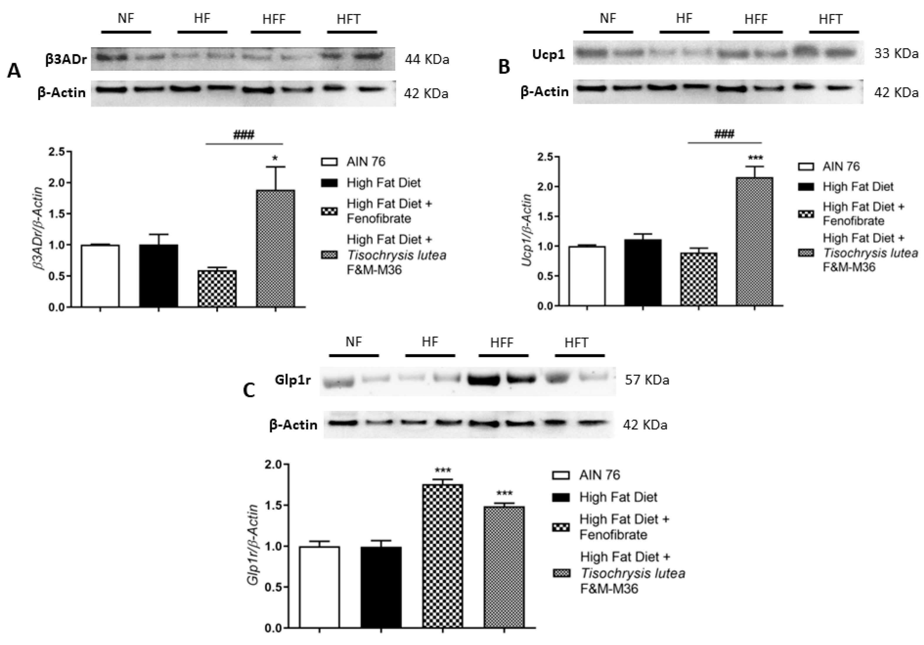 Marinedrugs 21 00303 g003 Marinedrugs 21 00303 g003