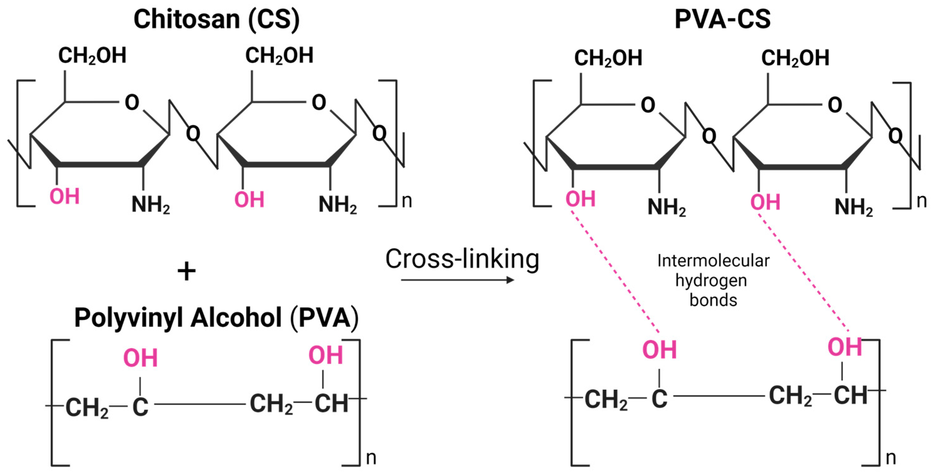 Marine Drugs Free FullText Polyvinyl AlcoholChitosan Scaffold for