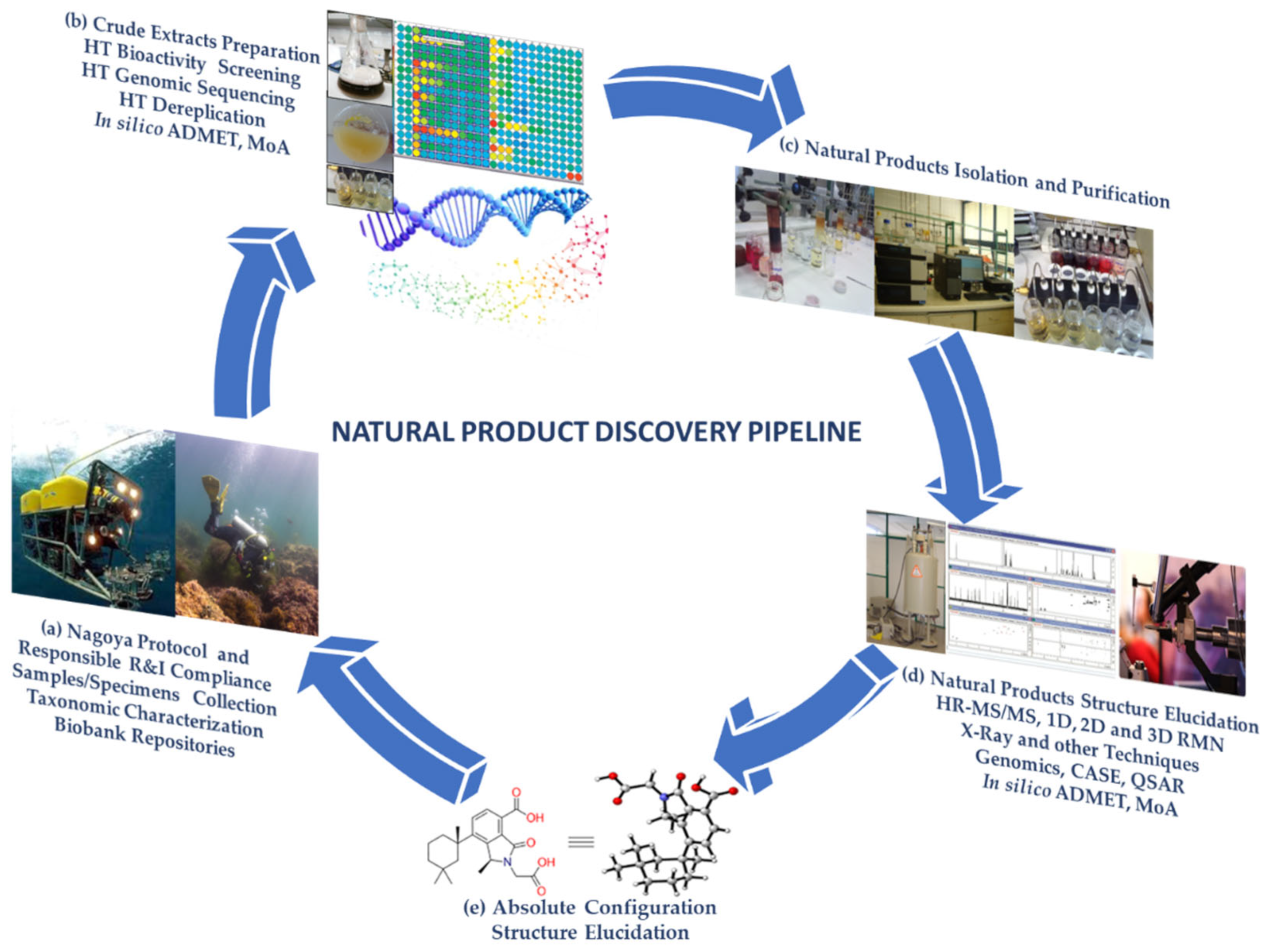 Researchers develop new method to analyze proteins in ecologically  significant moss