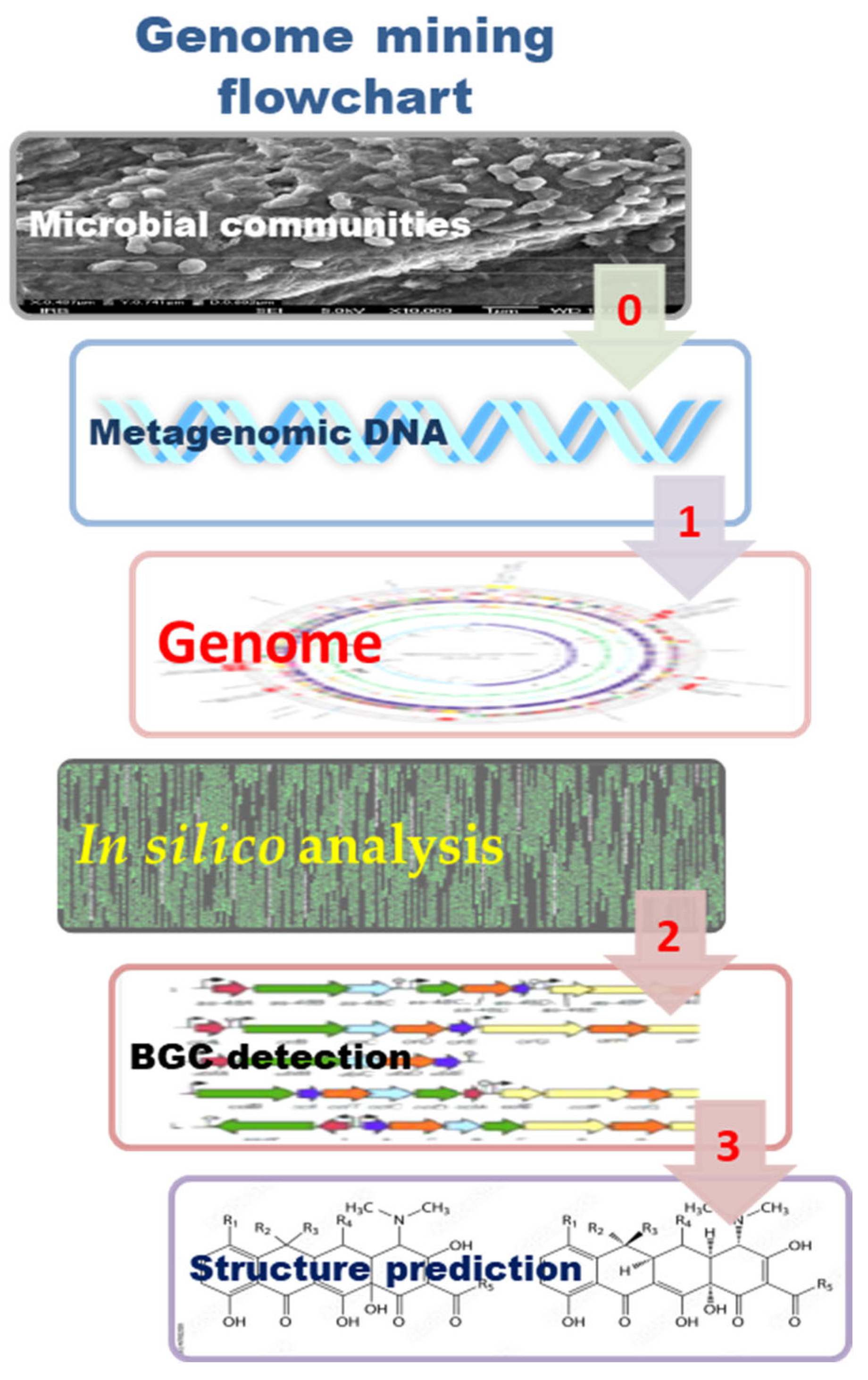 Marinedrugs 21 00308 g004 Marinedrugs 21 00308 g004