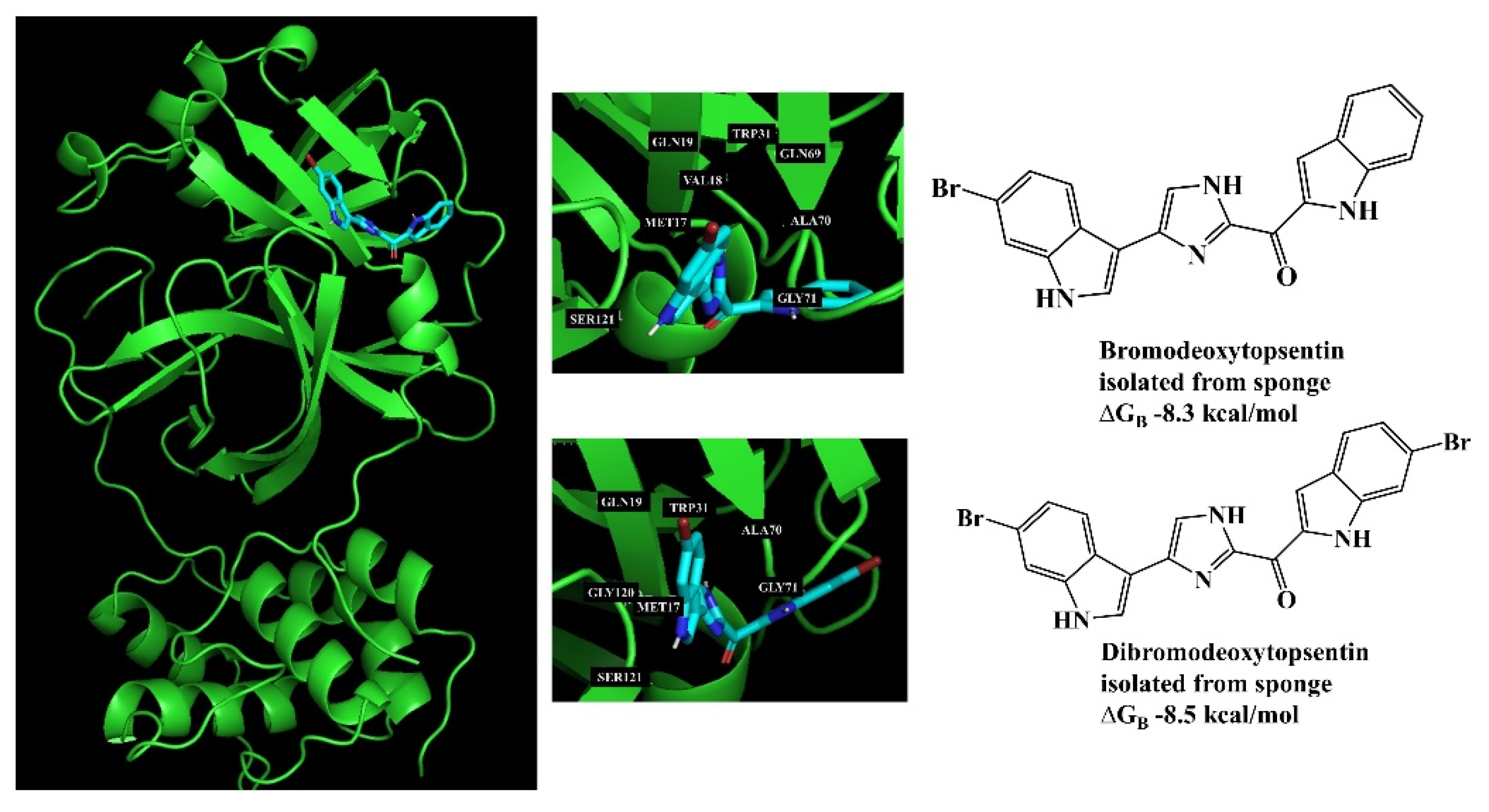 Marinedrugs 21 00308 g014 Marinedrugs 21 00308 g014