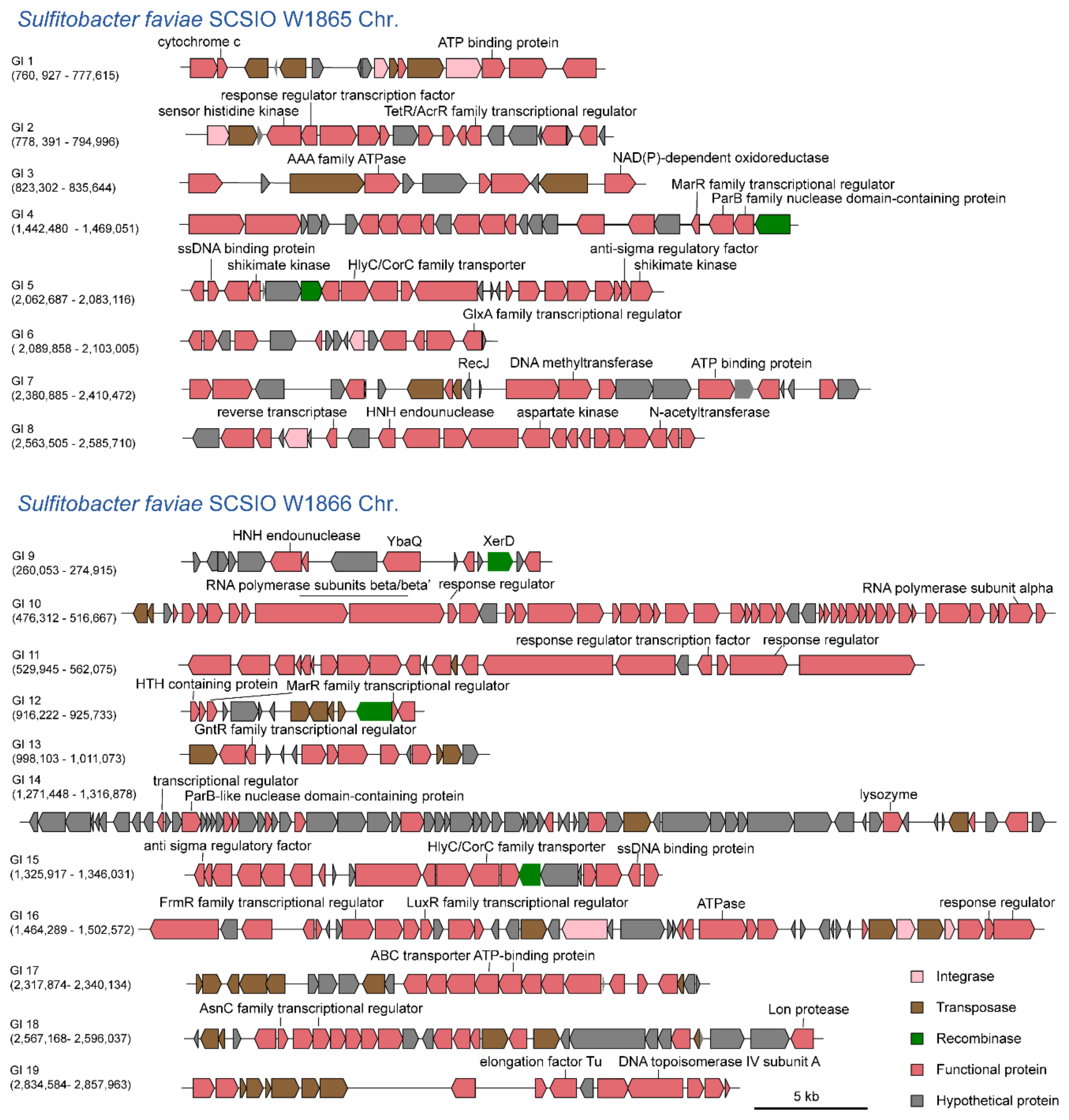 Marinedrugs 21 00309 g005 Marinedrugs 21 00309 g005