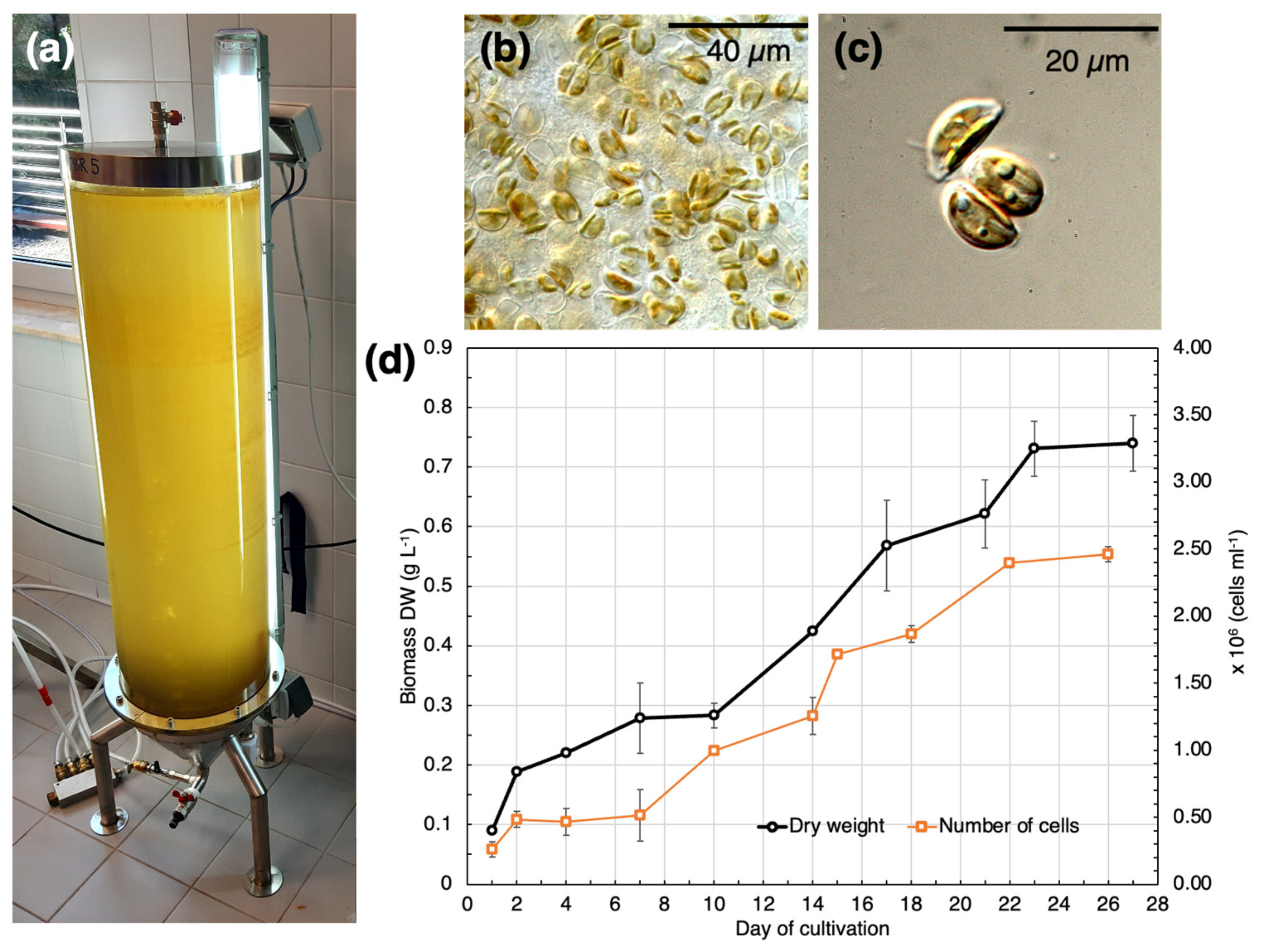 Marinedrugs 21 00312 g001 Marinedrugs 21 00312 g001