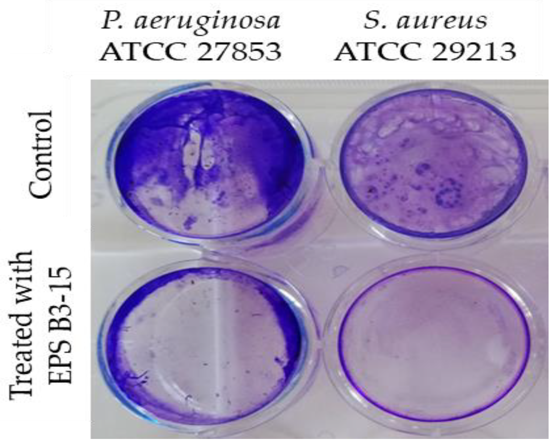 Marinedrugs 21 00313 g006 Marinedrugs 21 00313 g006