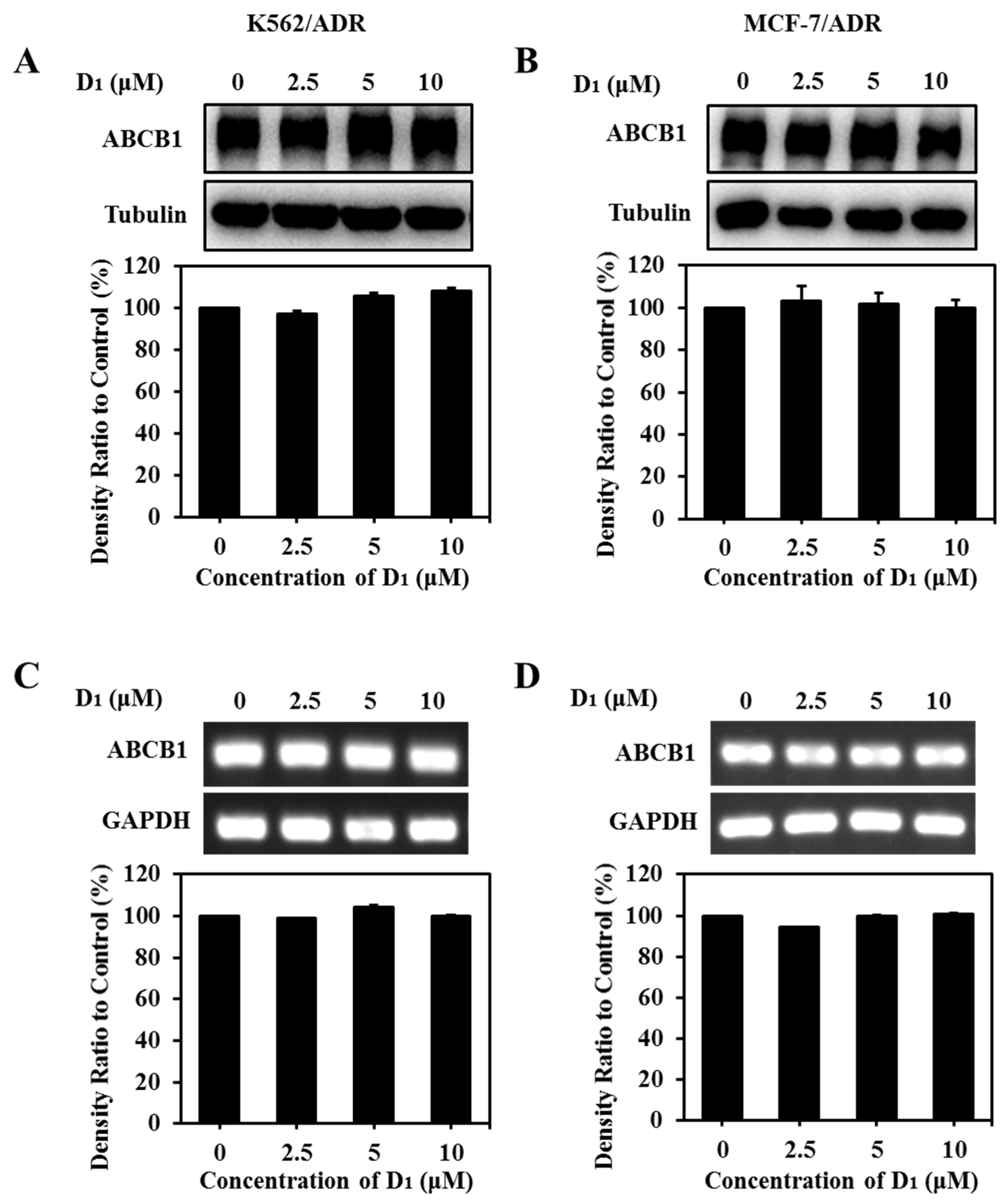 Marinedrugs 21 00314 g007 Marinedrugs 21 00314 g007